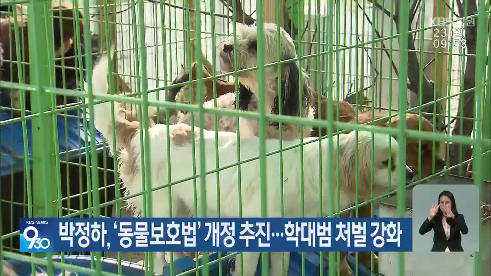 박정하, ‘동물보호법’ 개정 추진…학대범 처벌 강화