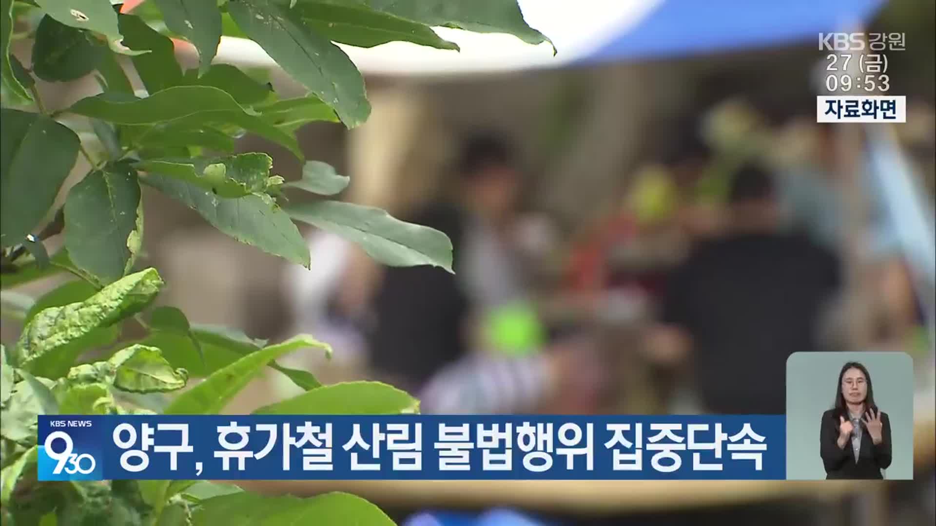 양구, 휴가철 산림 불법행위 집중단속