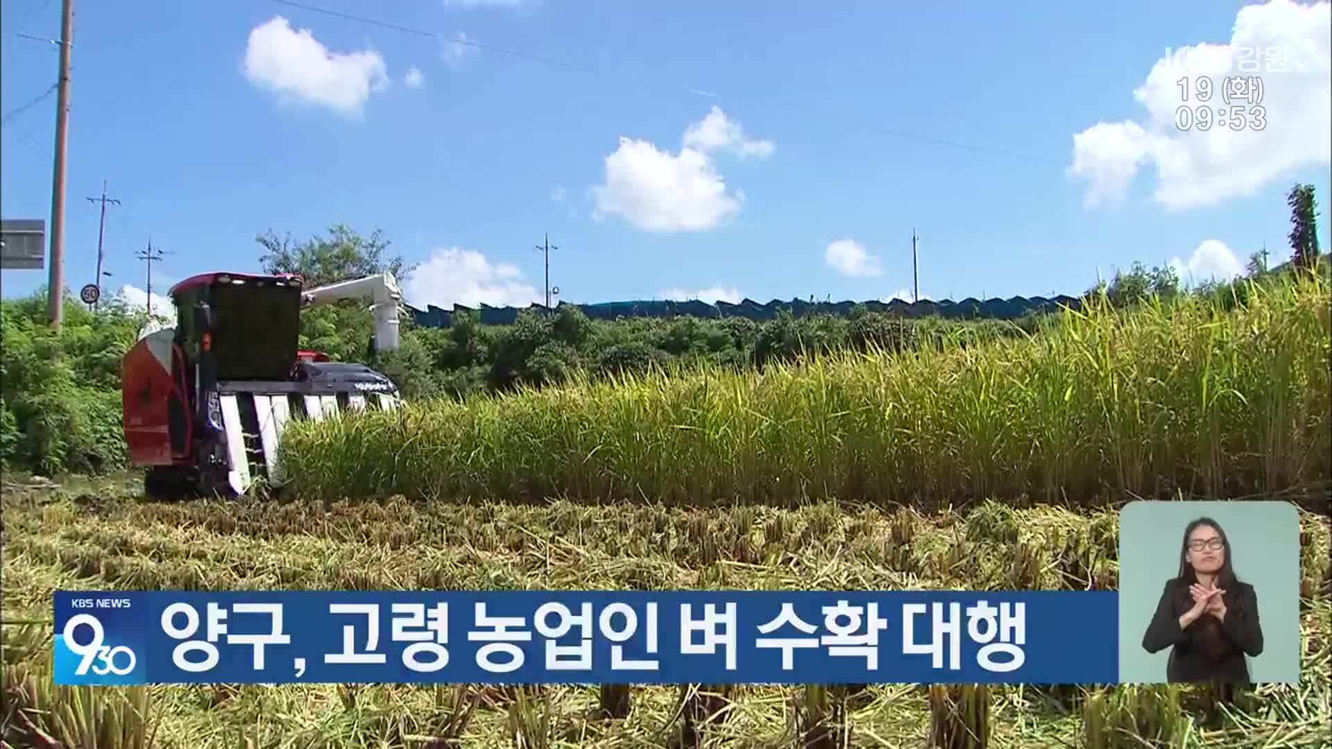 양구, 고령 농업인 벼 수확 대행