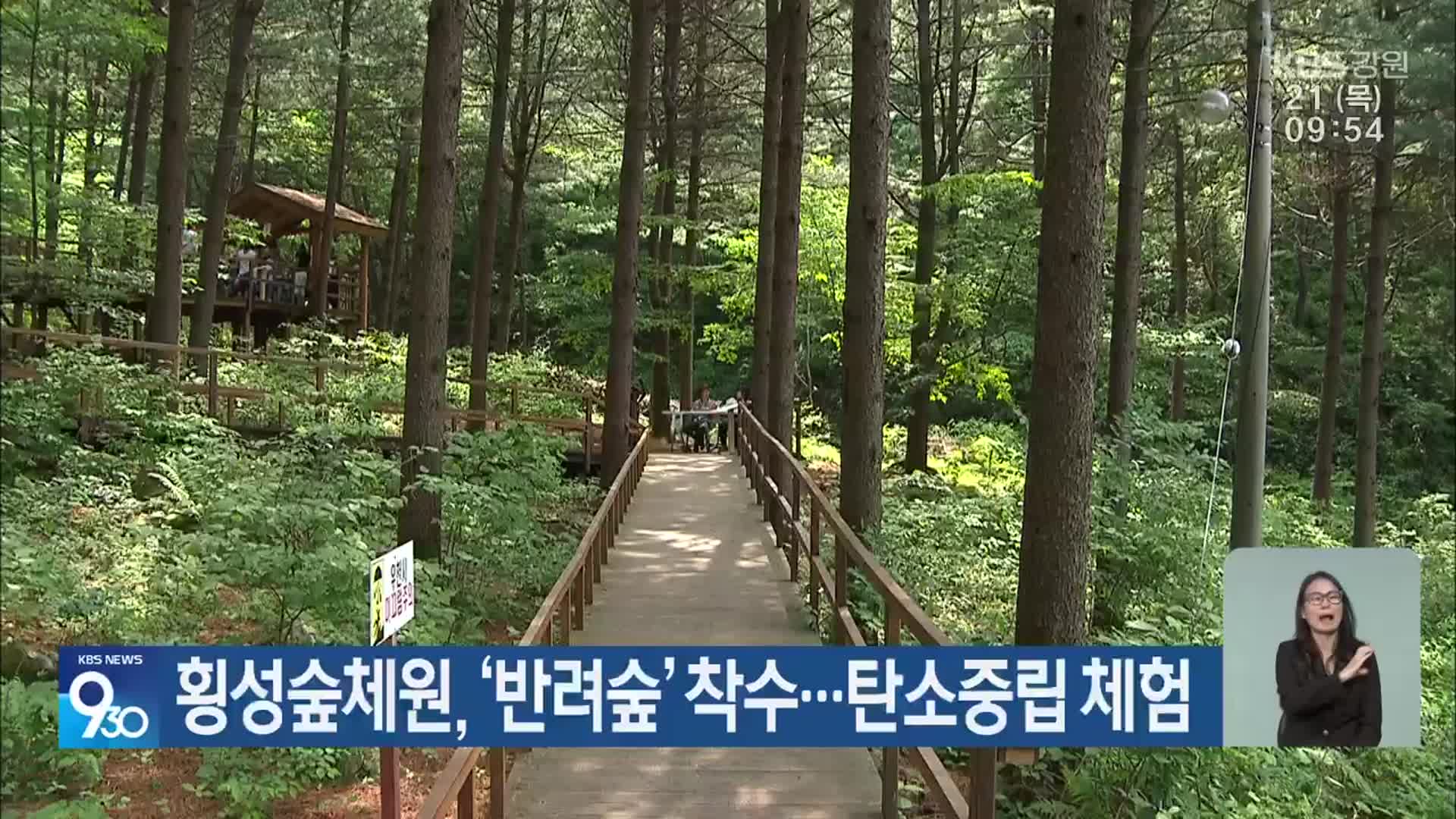 횡성숲체원, ‘반려숲’ 착수…탄소중립 체험