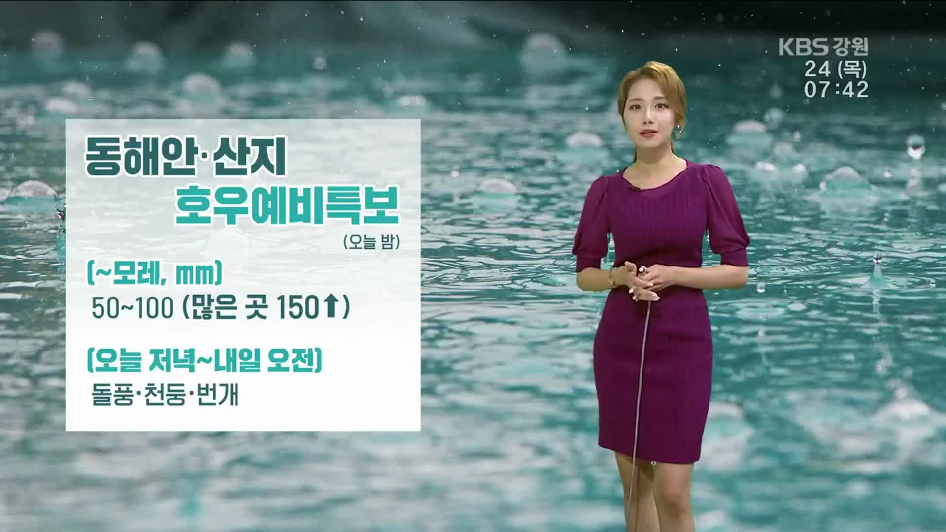 [날씨] 강원 동해안·산지 호우예비특보…모레까지 50~100㎜