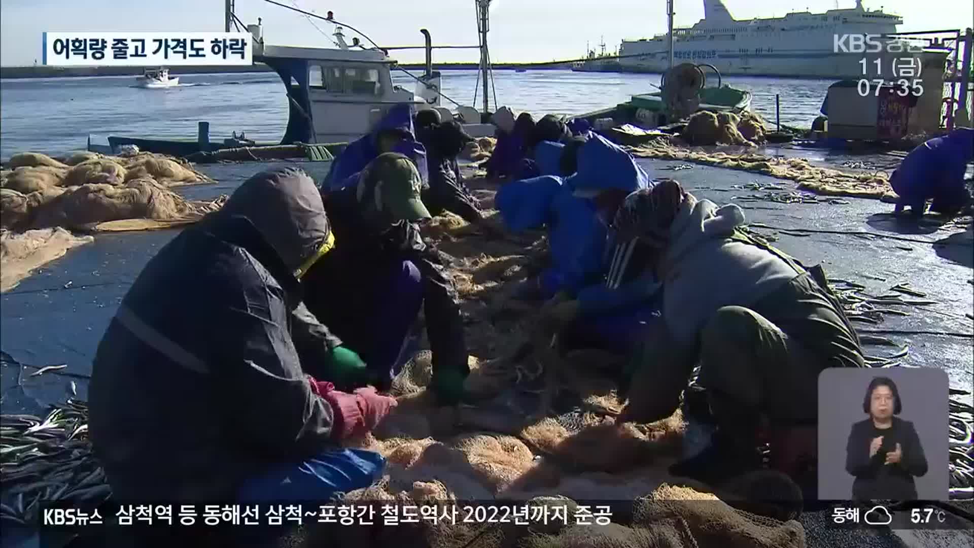 ‘제철 생선’ 어획량 줄고 가격도 하락…어민 ‘한숨’