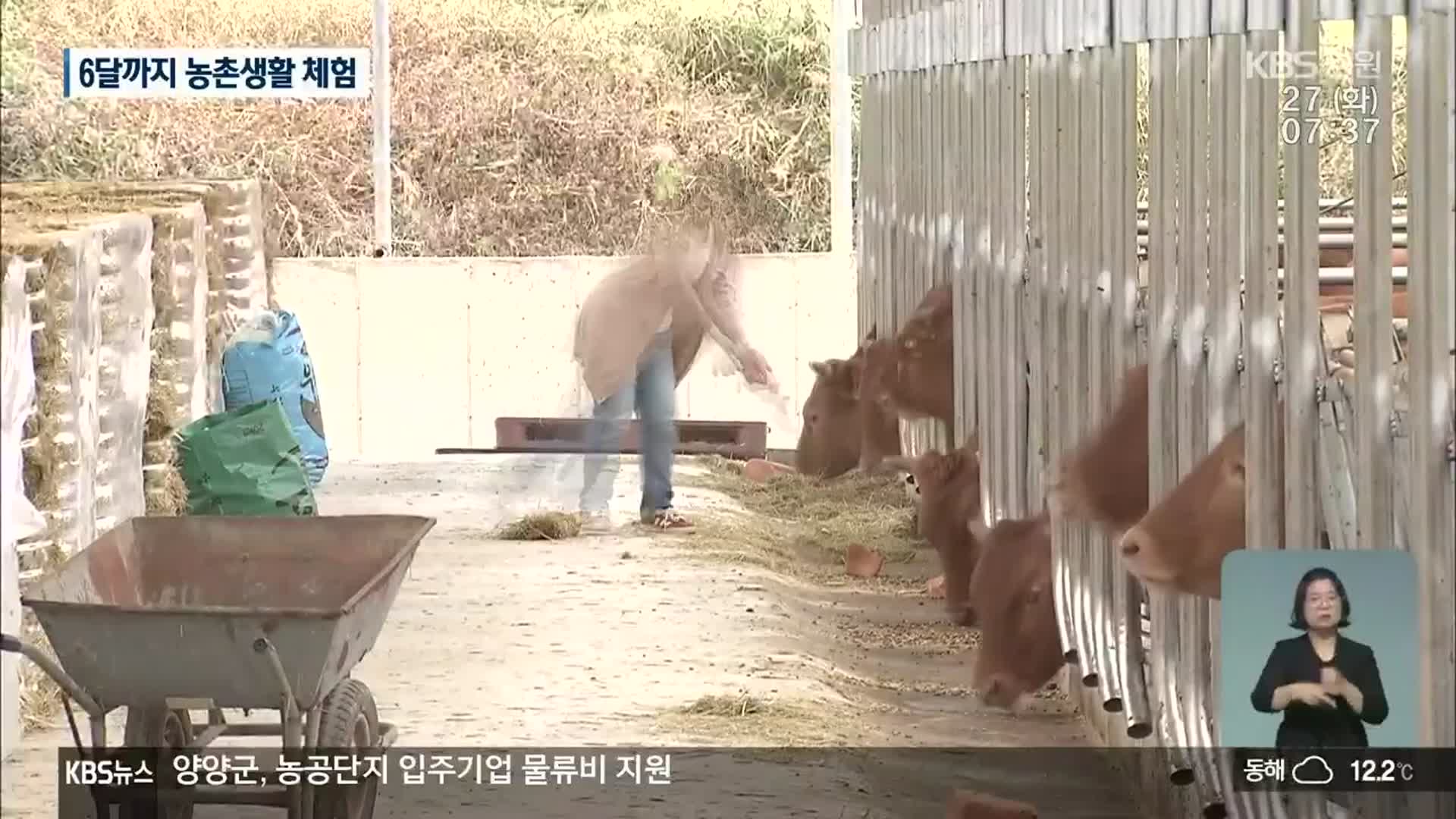 “귀농·귀촌, 이제는 살아보고 결정”…6달까지 체험 가능