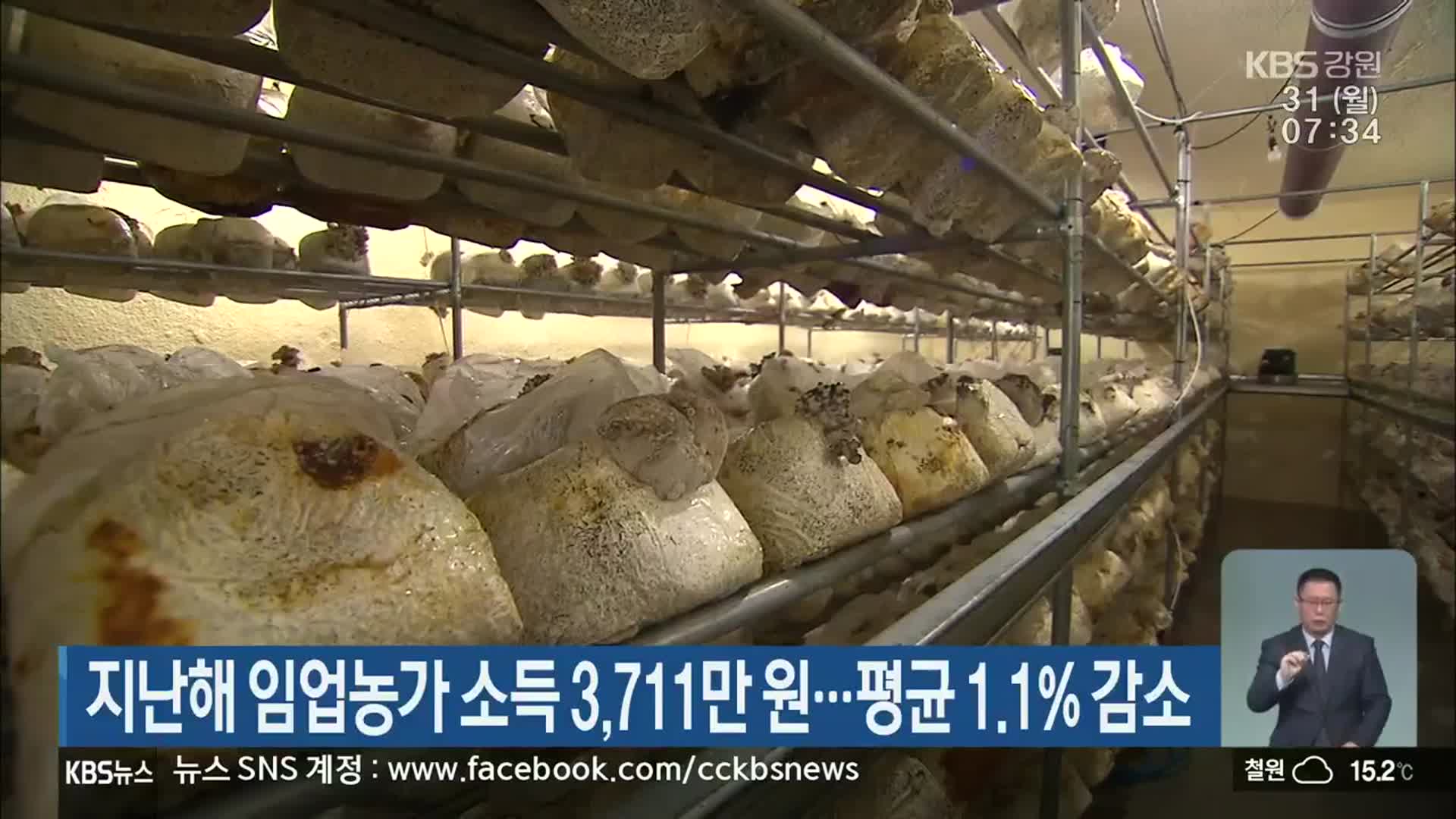 지난해 임업농가 소득 3,711만 원…평균 1.1% 감소