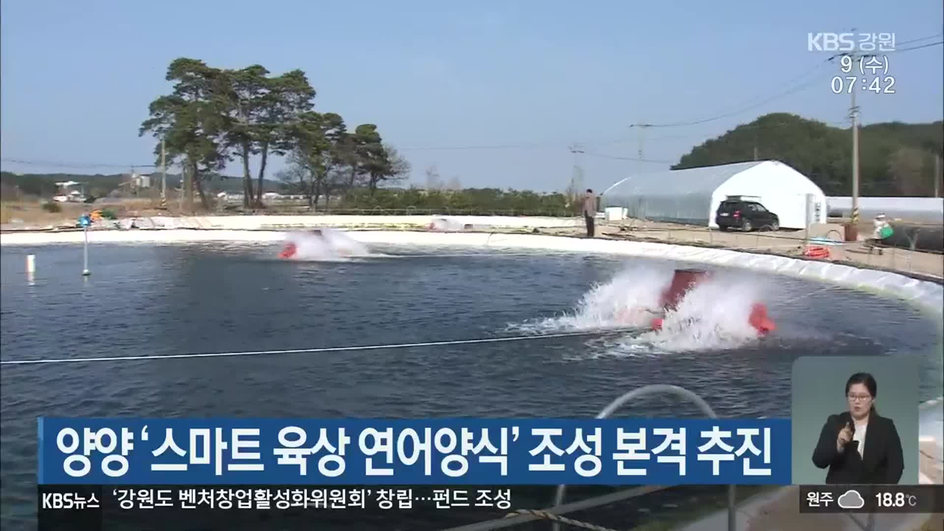 양양 ‘스마트 육상 연어양식’ 조성 본격 추진