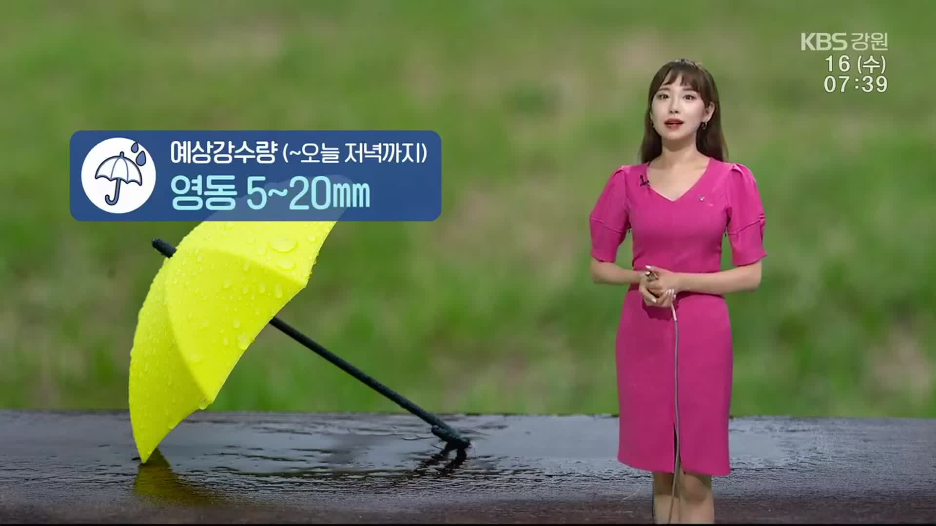 [날씨] 강원 영동 저녁까지 비…예상강수량 5~20㎜