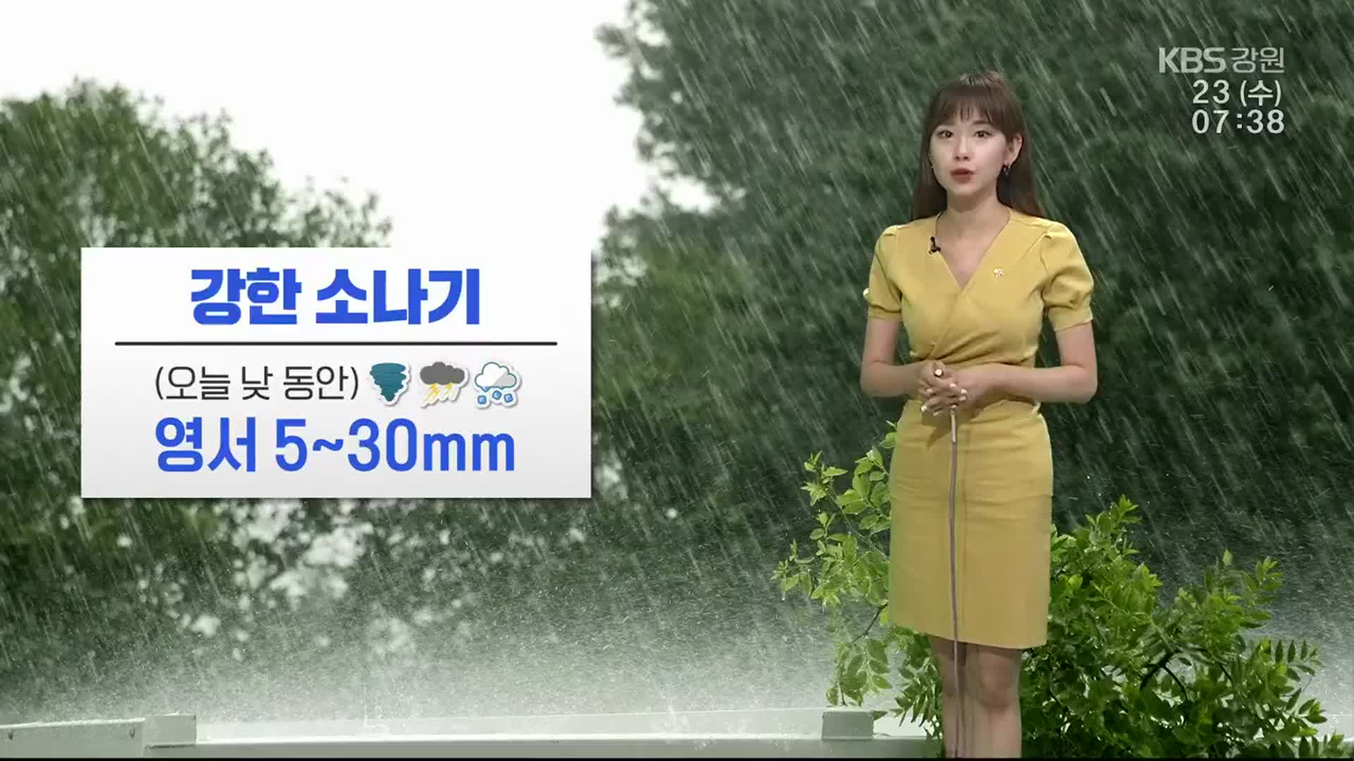[날씨] 영서 5~30mm 비…강원 곳곳 강한 소나기
