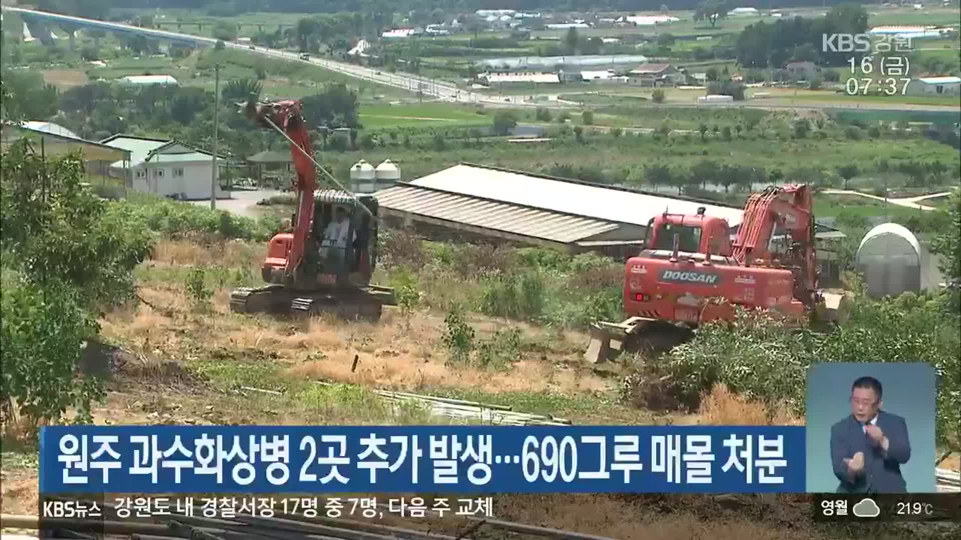 원주 과수화상병 2곳 추가 발생…690그루 매몰 처분