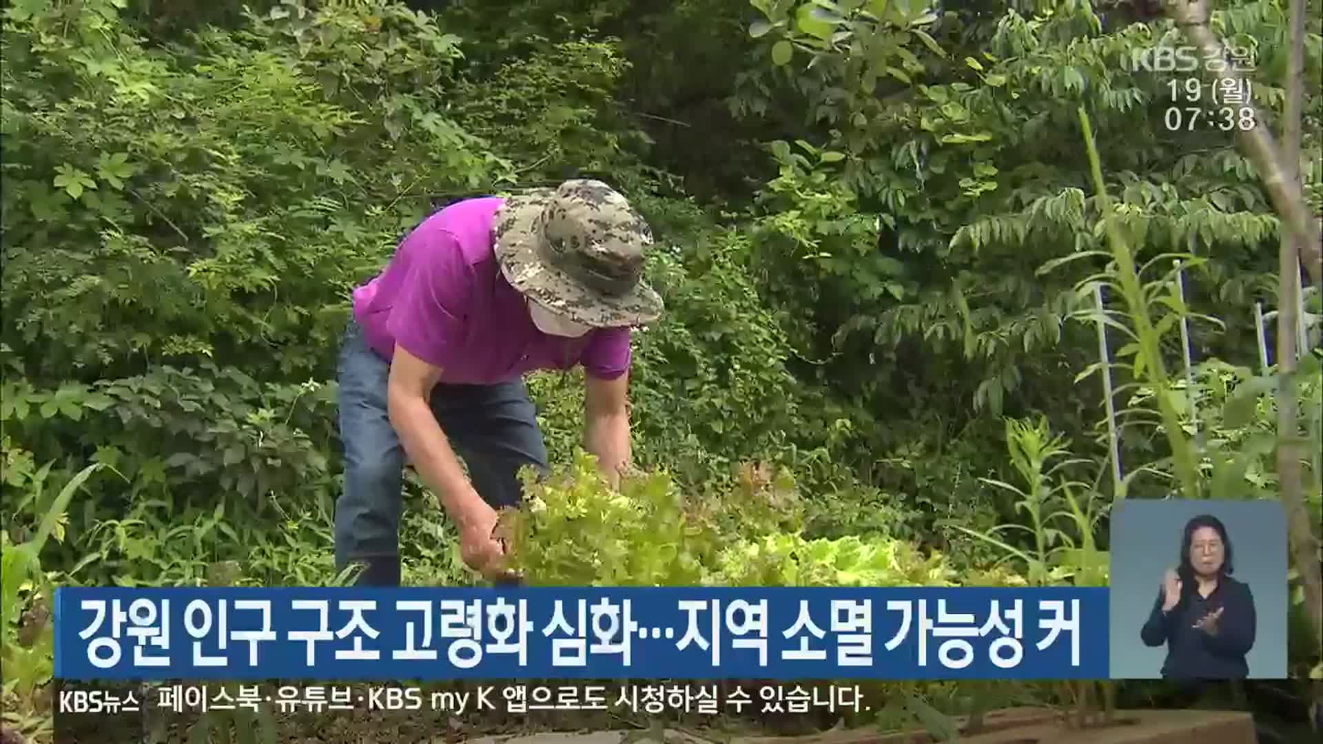 강원 인구 구조 고령화 심화…지역 소멸 가능성 커