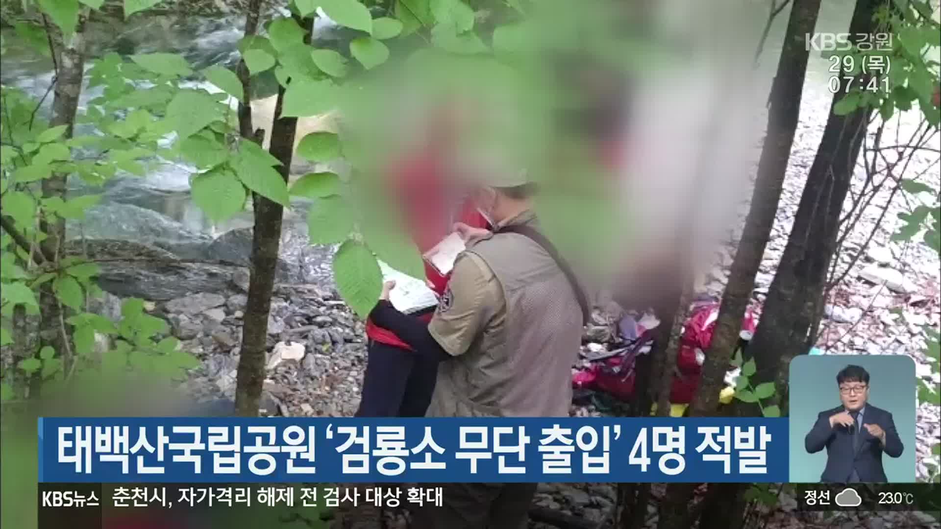 태백산국립공원 ‘검룡소 무단 출입’ 4명 적발