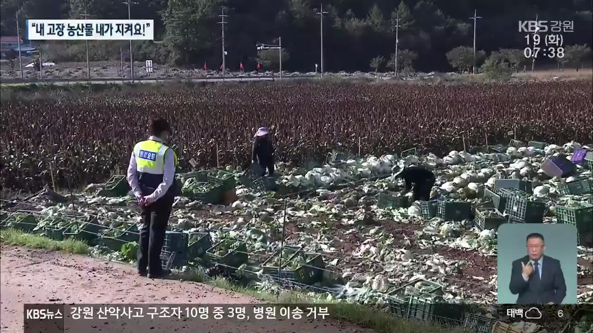 “내 고장 농산물 내가 지켜요!”…주민이 나선다