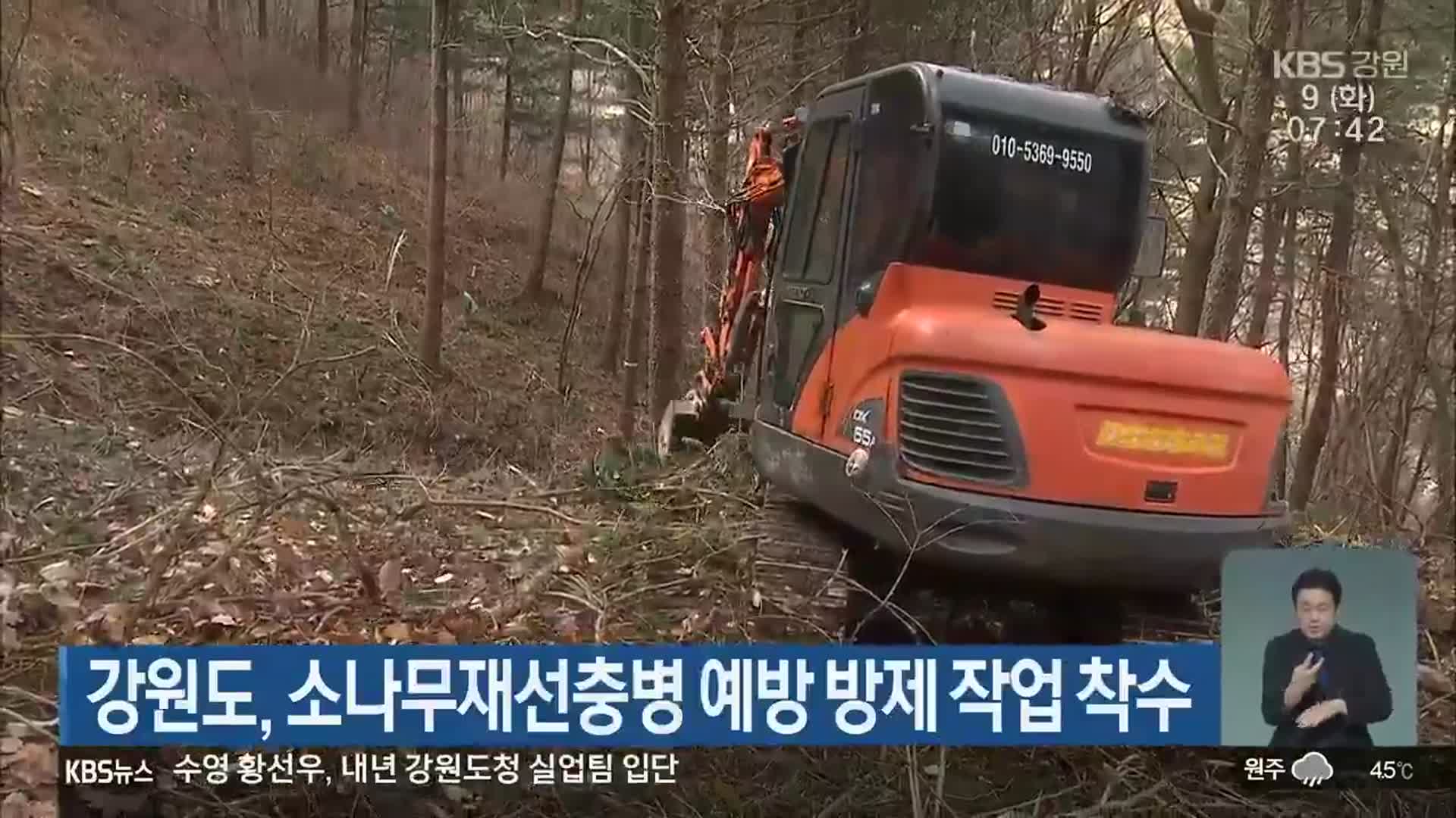 강원도, 소나무재선충병 예방 방제 작업 착수