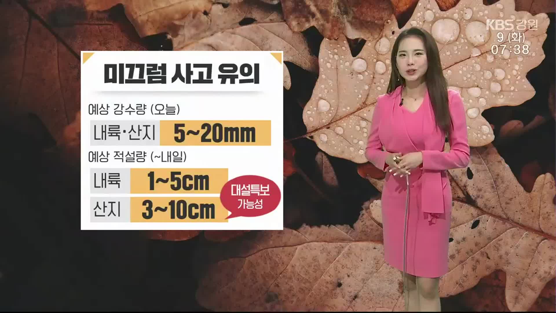 [날씨] 강원 5~20mm 비…산지 내일까지 최대 10cm 눈