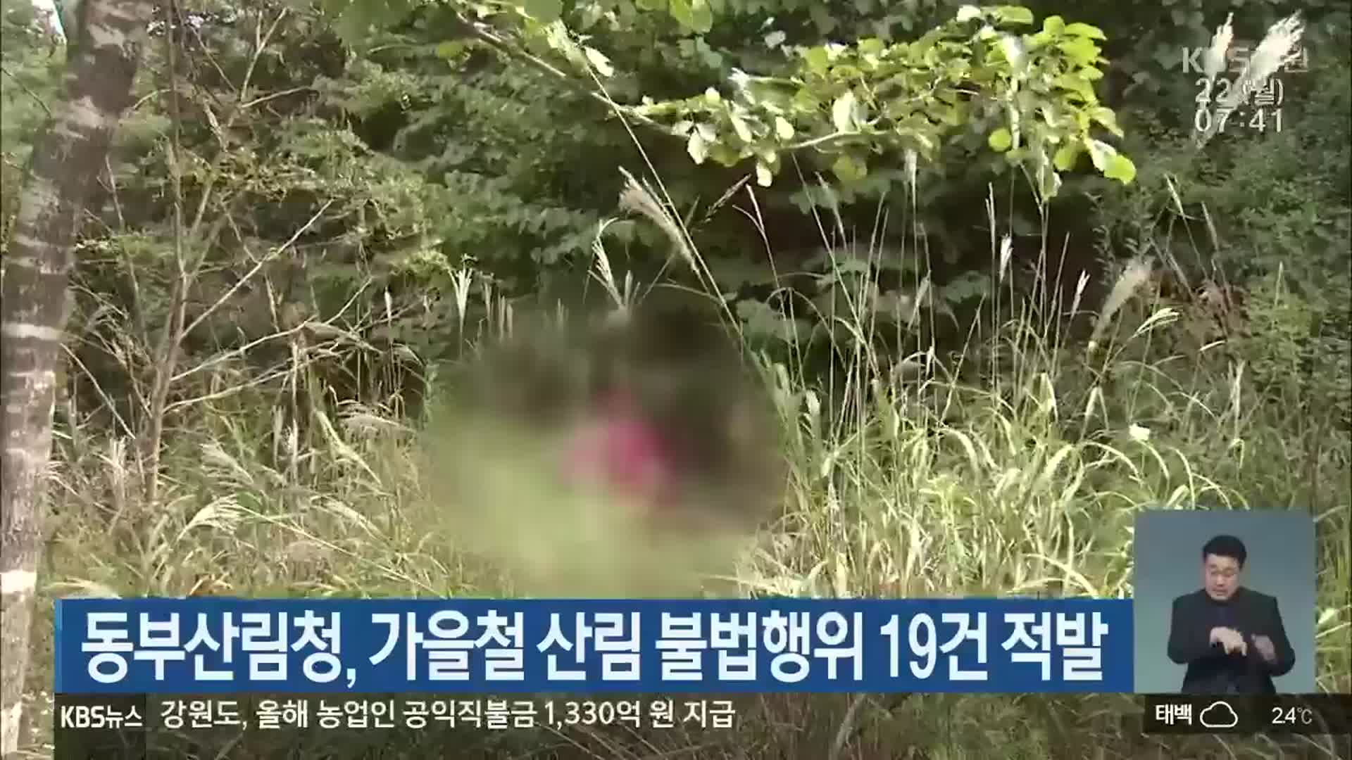 동부산림청, 가을철 산림 불법행위 19건 적발
