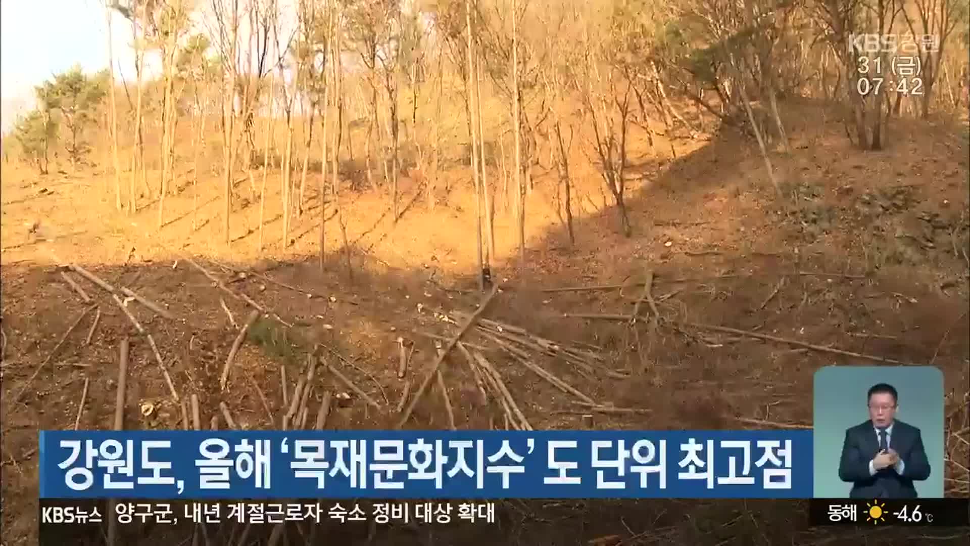 강원도, 올해 ‘목재문화지수’ 도 단위 최고점