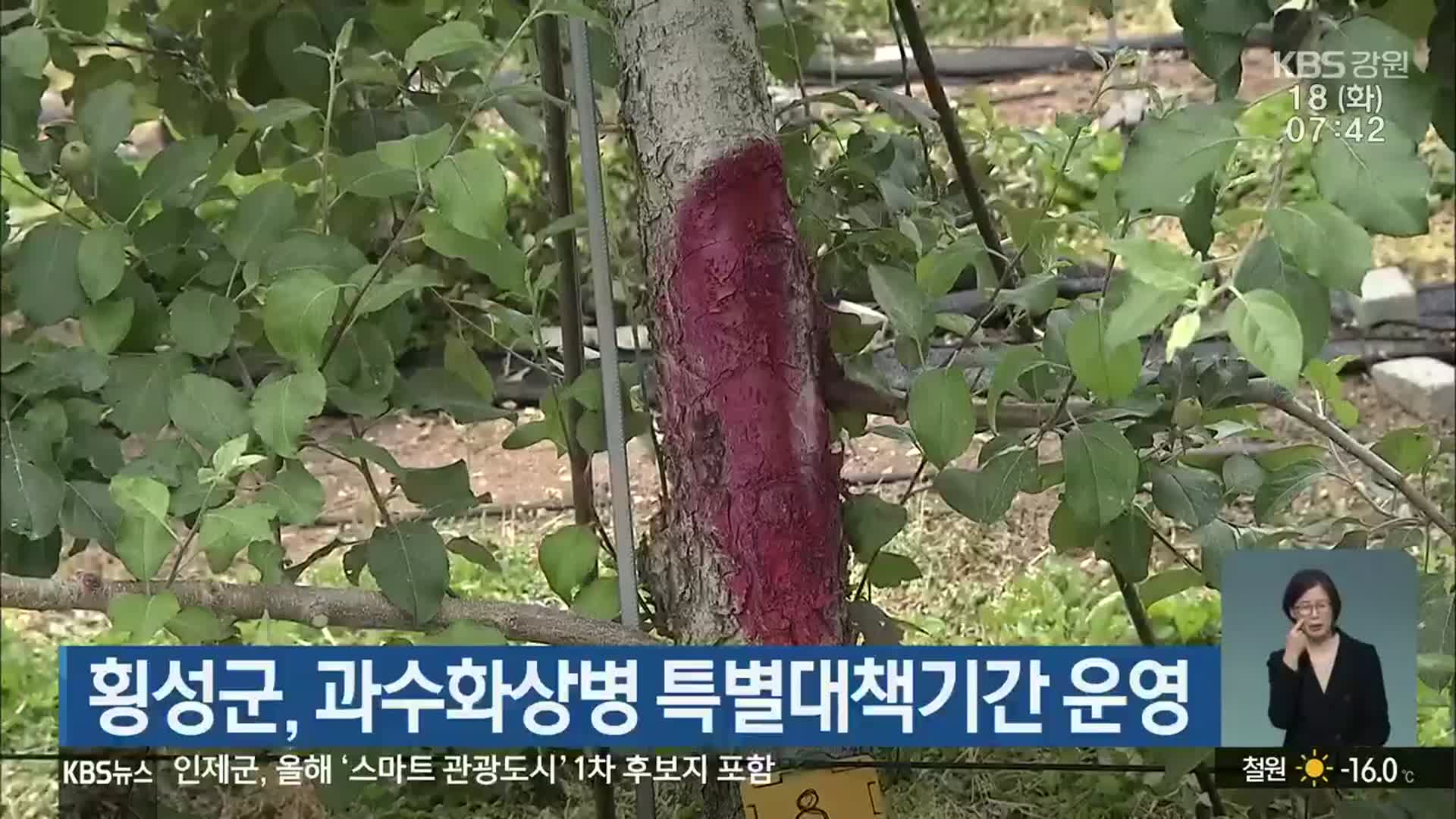 횡성군, 과수화상병 특별대책기간 운영