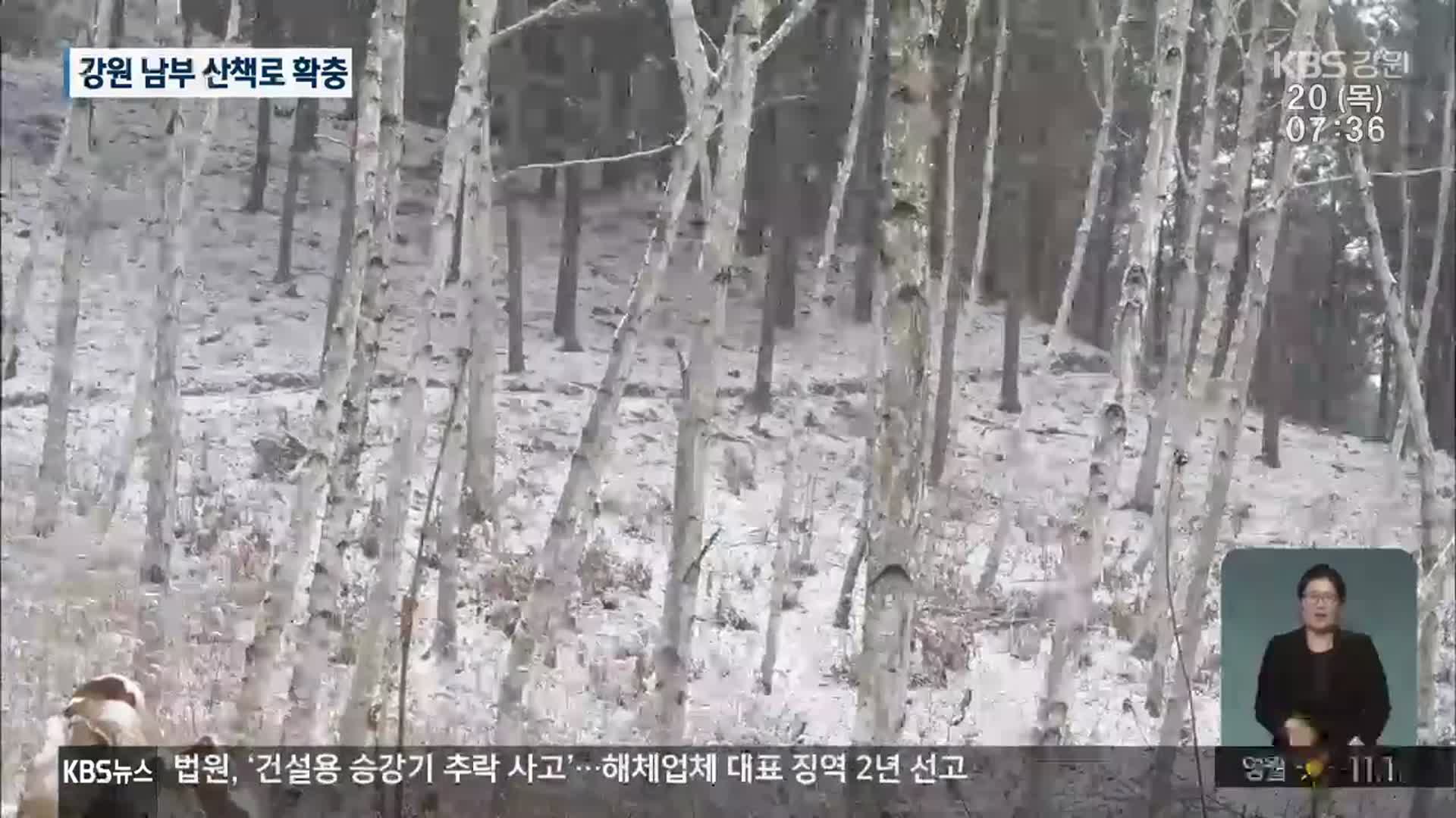 원주 ‘자작나무숲 둘레길’ 개통…강원 남부 연계 관광 과제