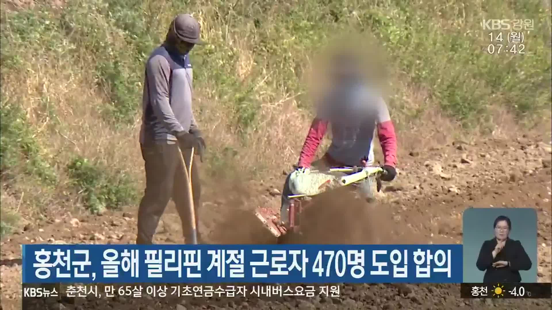 홍천군, 올해 필리핀 계절 근로자 470명 도입 합의