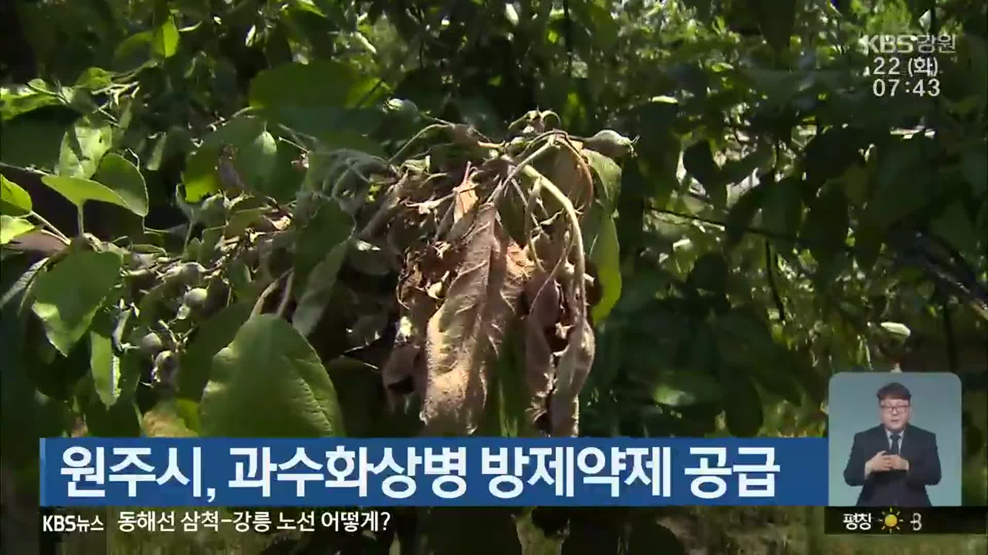 원주시, 과수화상병 방제약제 공급