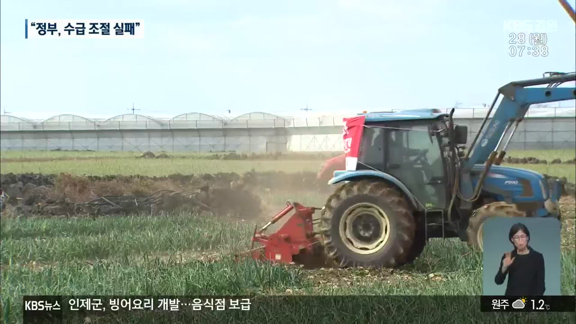 양파값 폭락에 시름…햇양파 대책은?