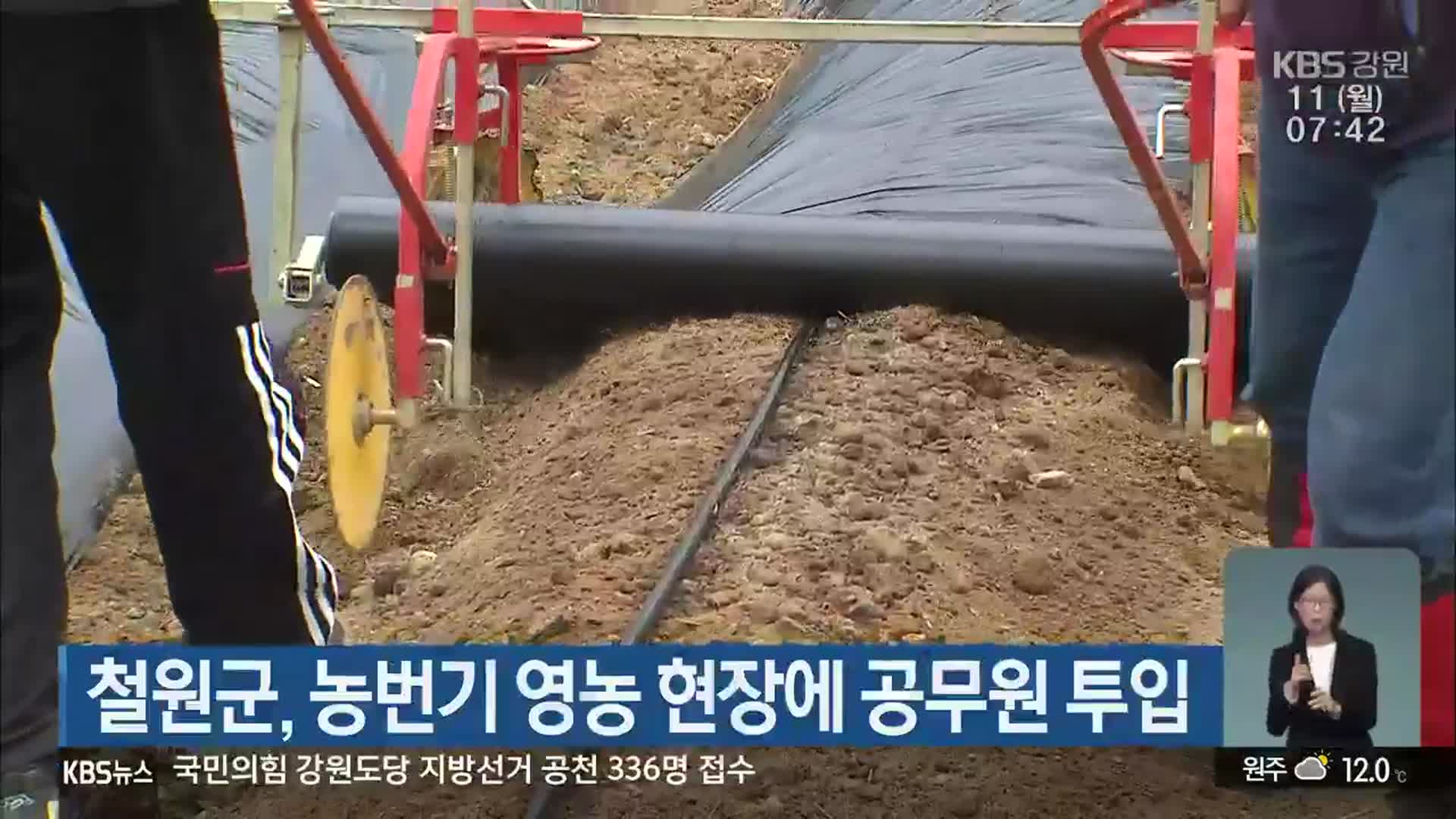 철원군, 농번기 영농 현장에 공무원 투입