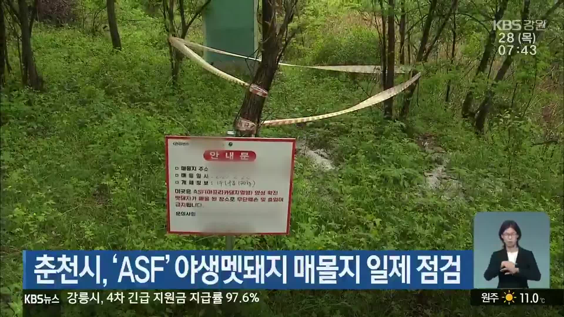 춘천시, ‘ASF’ 야생멧돼지 매몰지 일제 점검