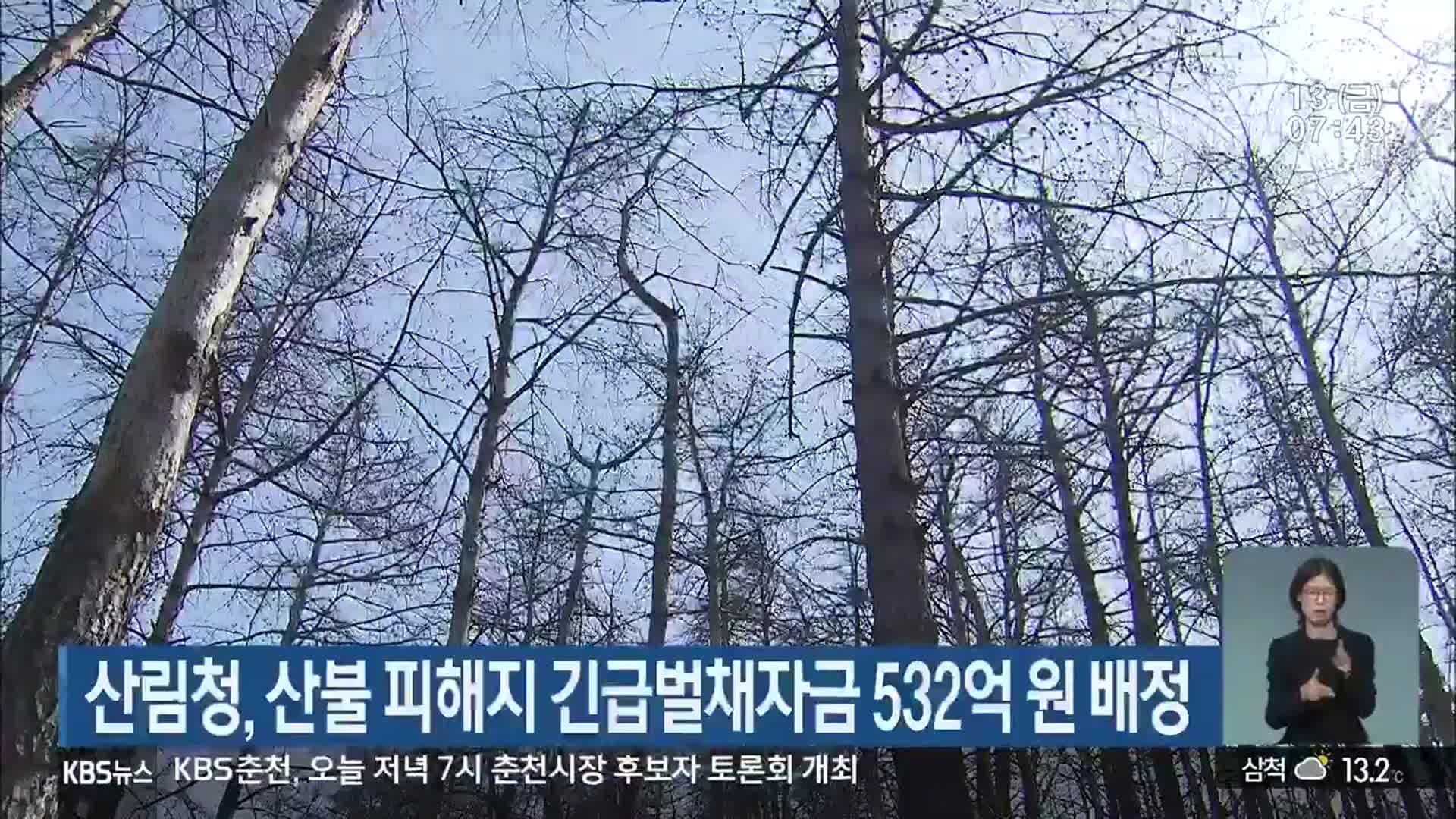 산림청, 산불 피해지 긴급벌채자금 532억 원 배정