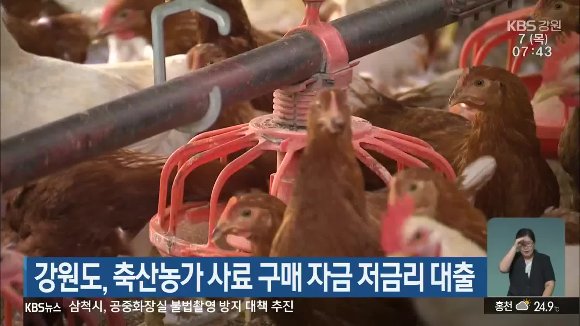 강원도, 축산농가 사료 구매 자금 저금리 대출
