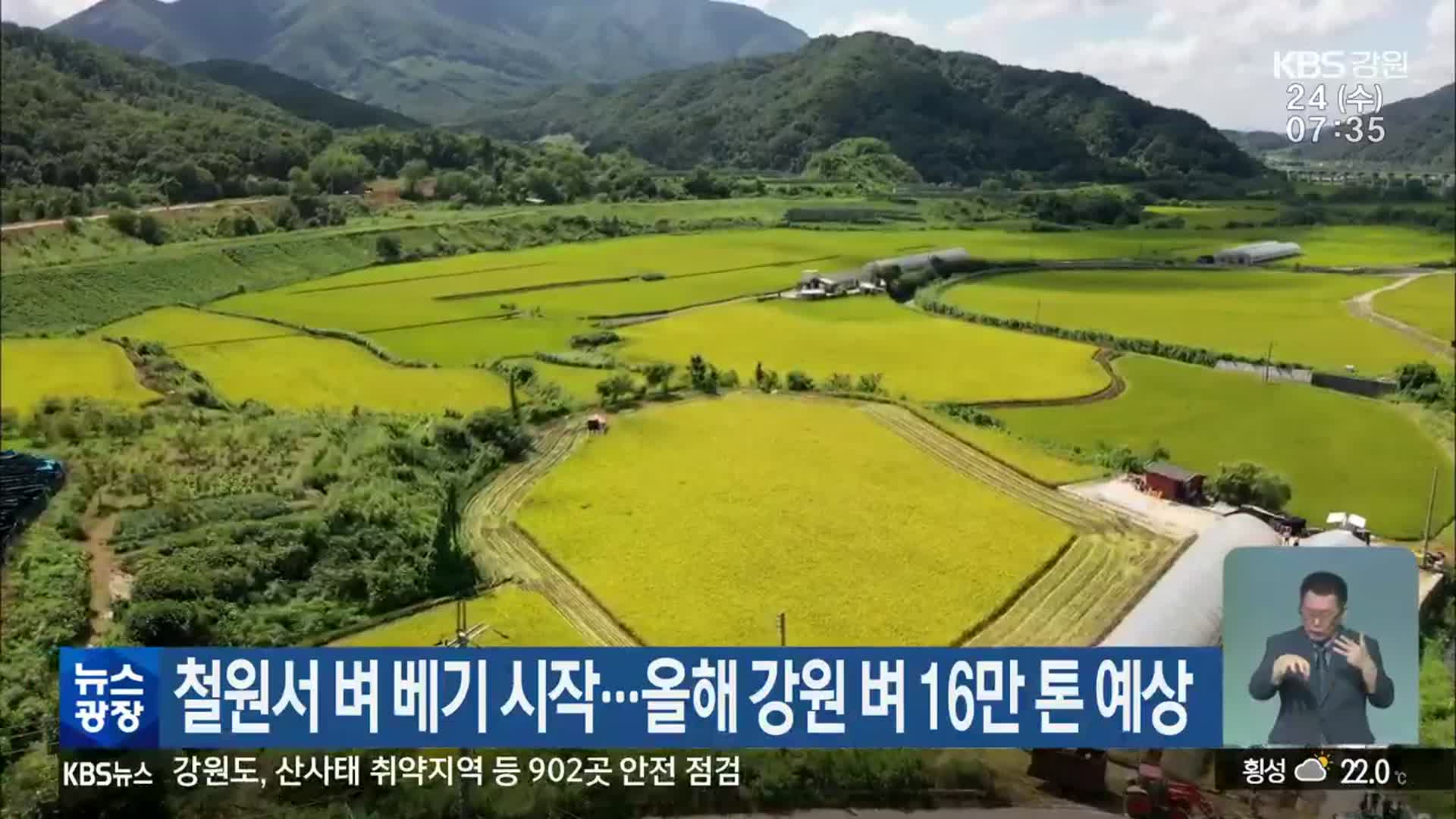 철원서 벼 베기 시작…올해 강원 벼 16만 톤 예상