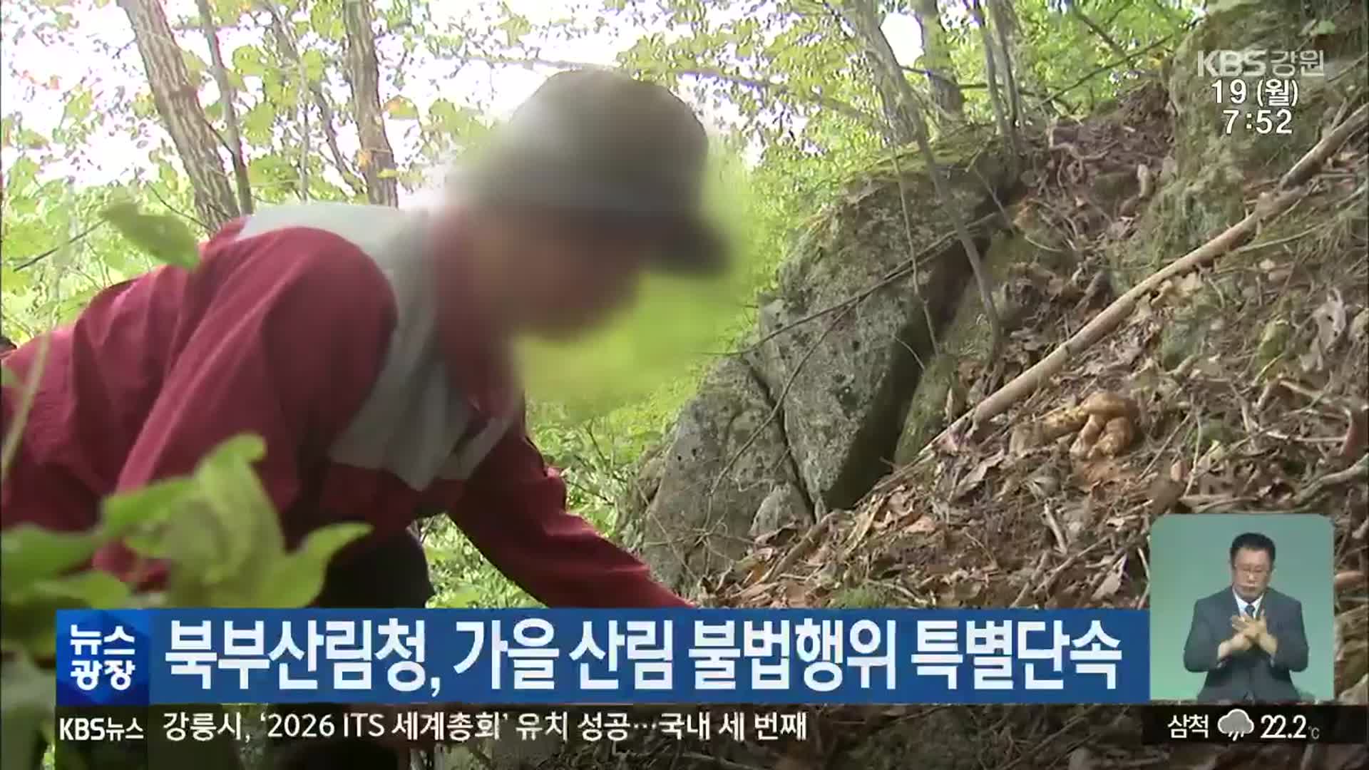 북부산림청, 가을 산림 불법행위 특별단속