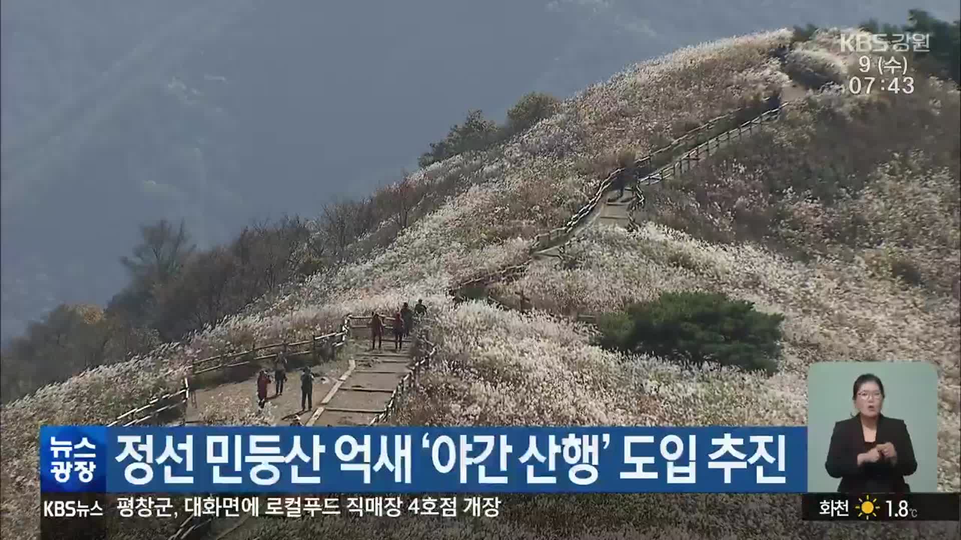 정선 민둥산 억새 ‘야간 산행’ 도입 추진