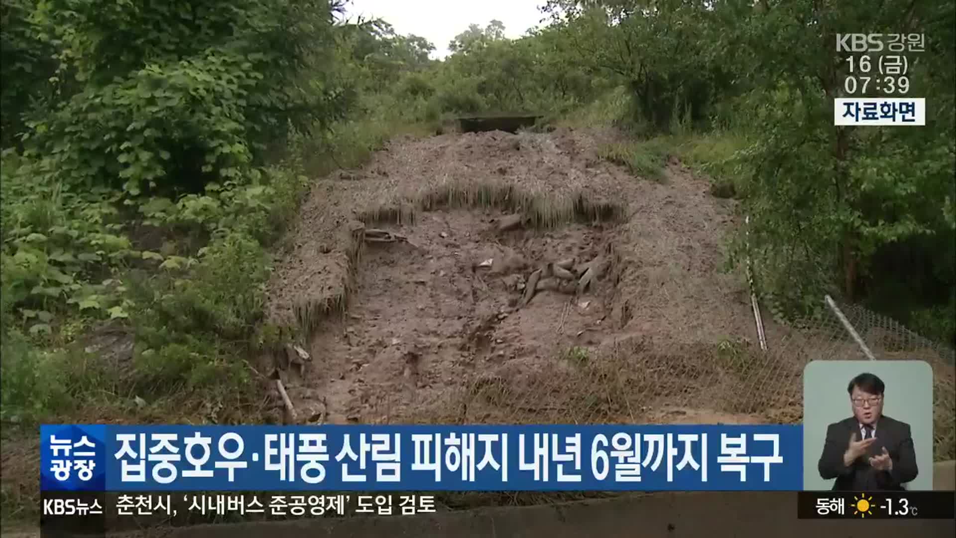 집중호우·태풍 산림 피해지 내년 6월까지 복구