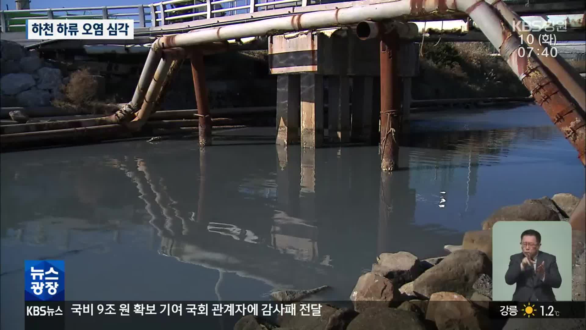 강릉 시동천 오염 심각…“원인 모호, 긴급 준설”