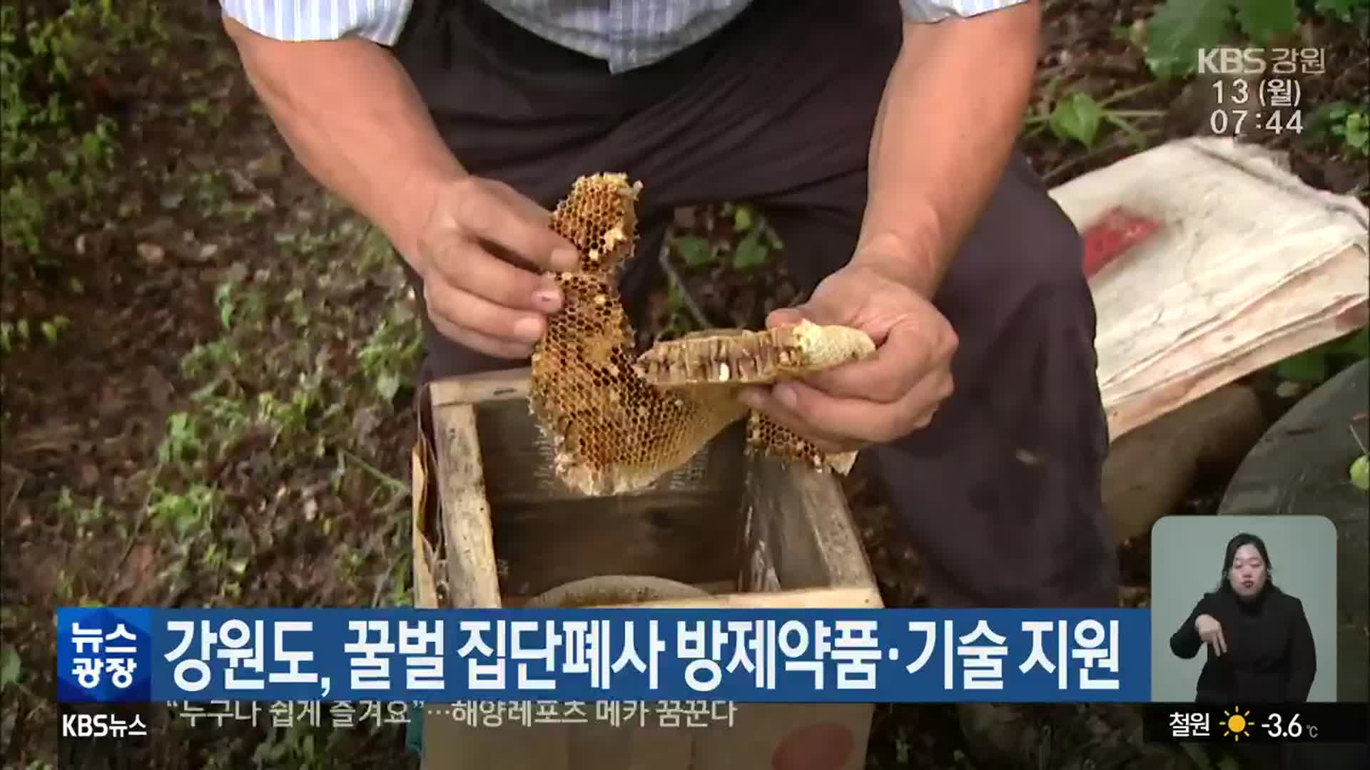 강원도, 꿀벌 집단폐사 방제약품·기술 지원