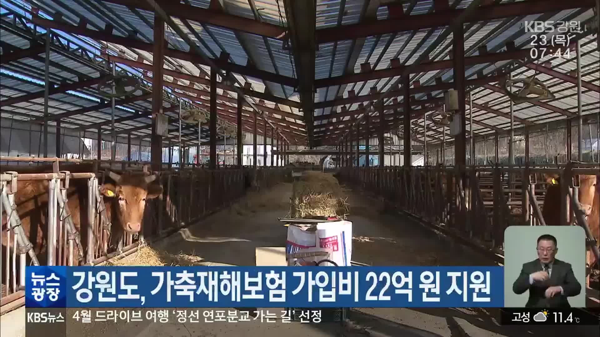 강원도, 가축재해보험 가입비 22억 원 지원