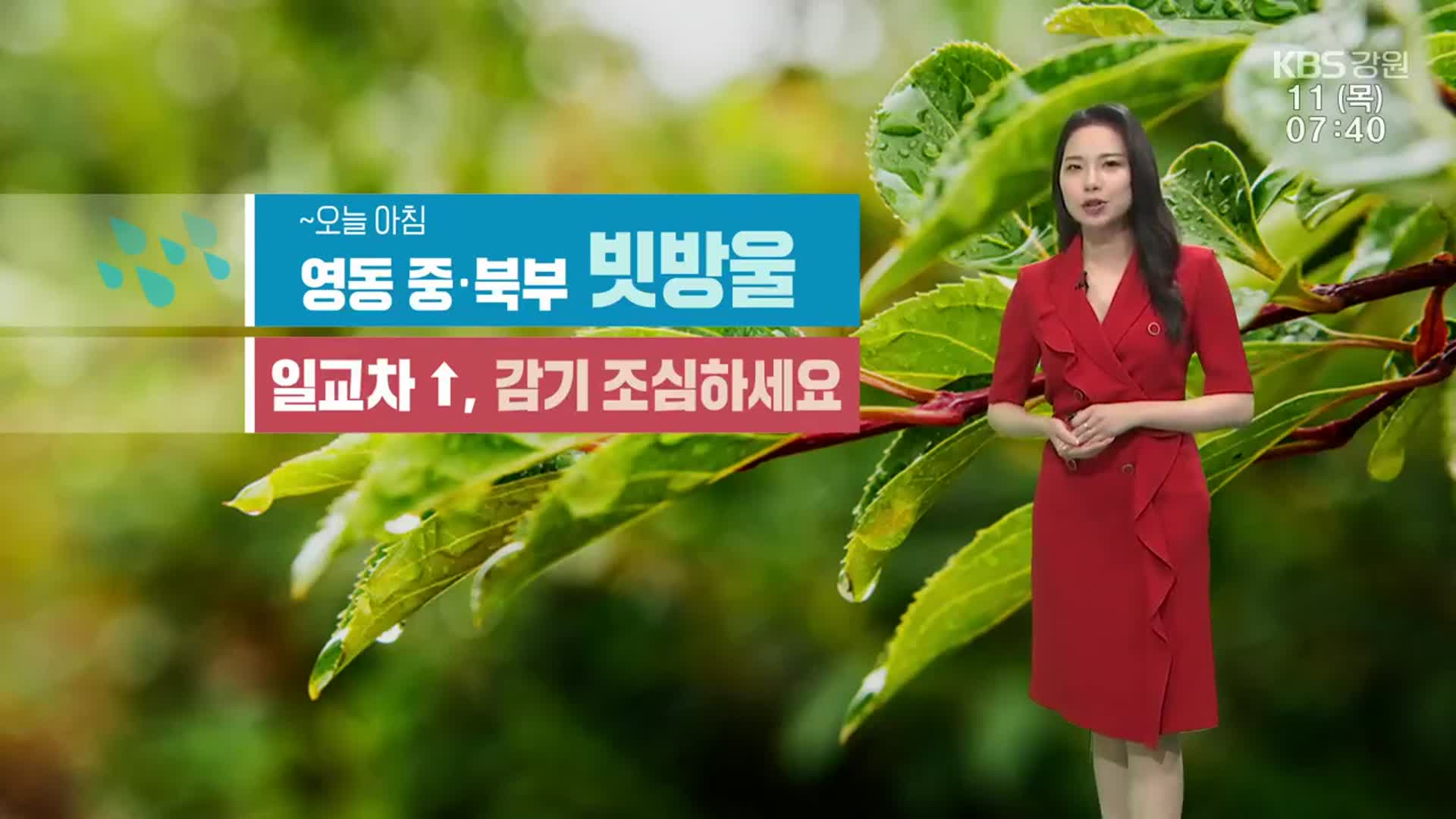 [날씨] 강원 영동 중·북부 빗방울…큰 일교차 유의