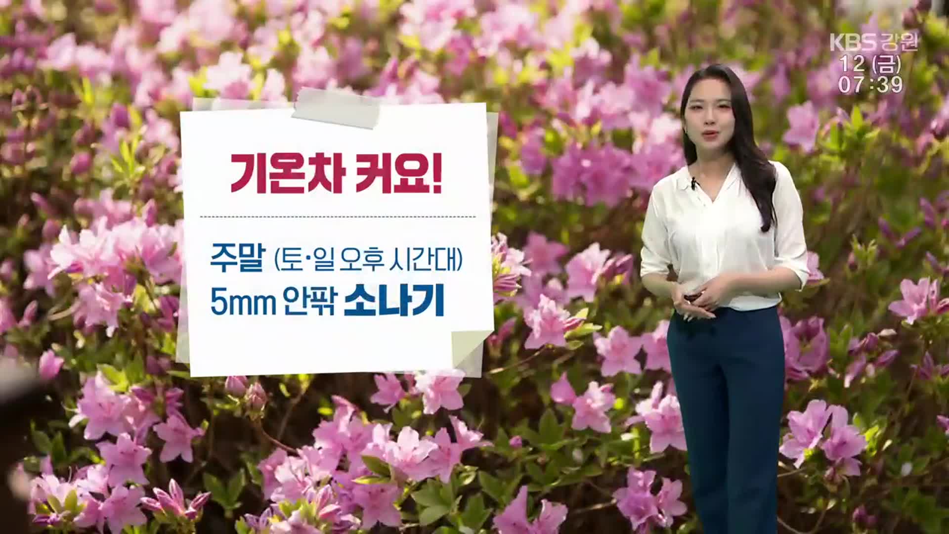 [날씨] 강원 아침·저녁 ‘쌀쌀’…주말 5㎜ 안팎 소나기