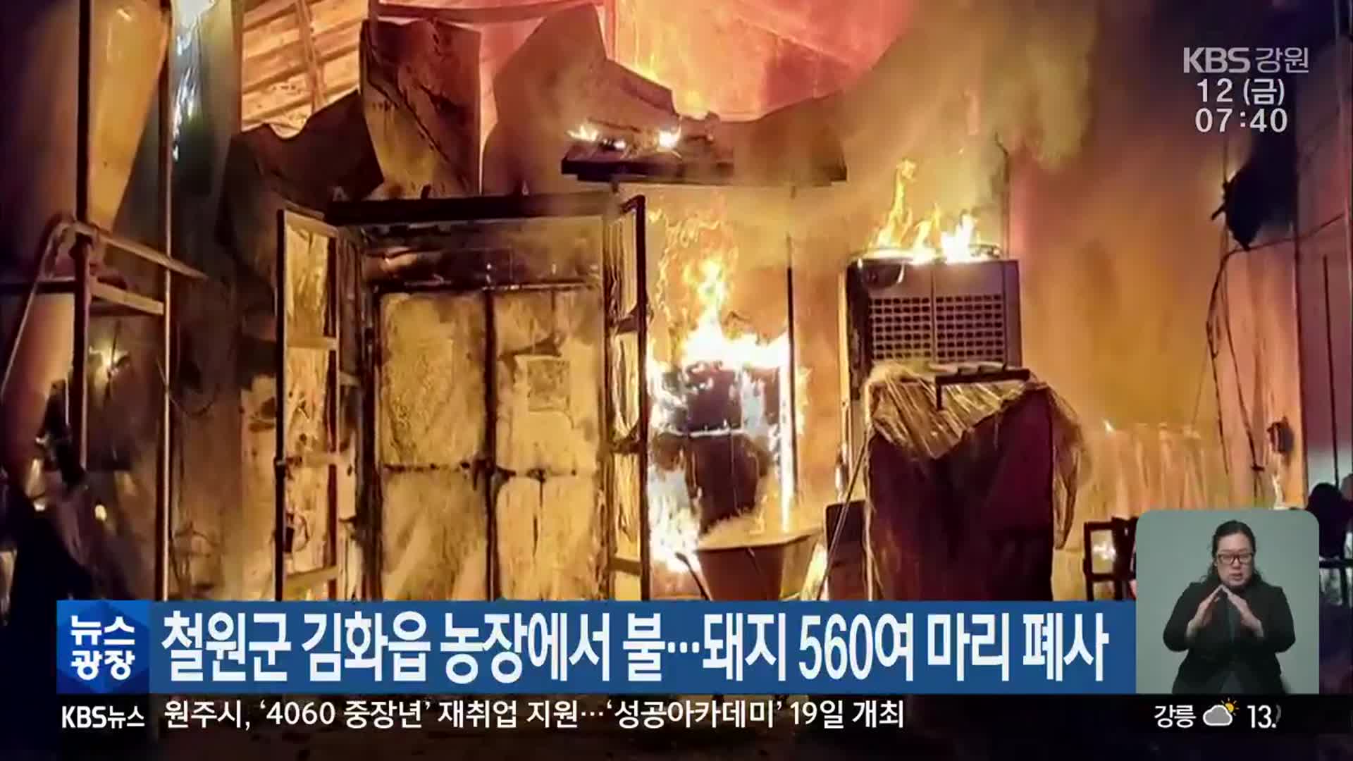 철원군 김화읍 농장에서 불…돼지 560여 마리 폐사