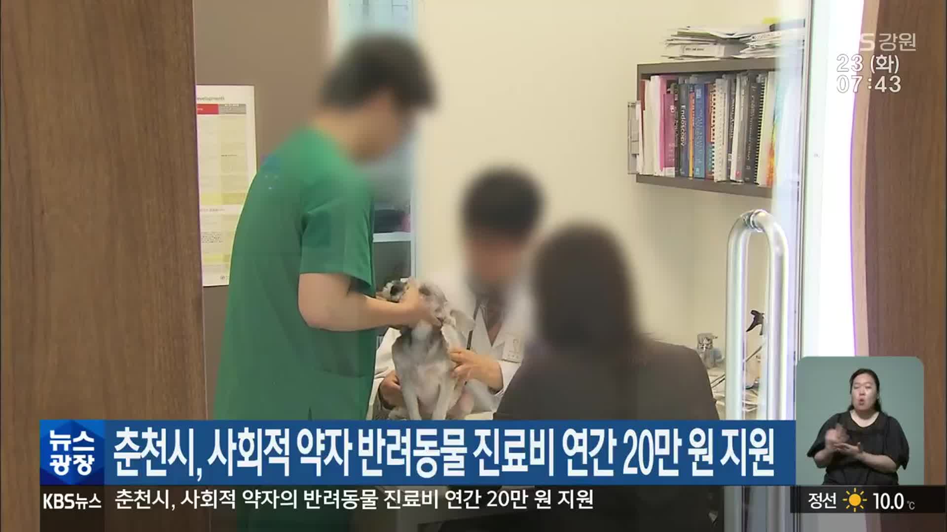 춘천시, 사회적 약자 반려동물 진료비 연간 20만 원 지원