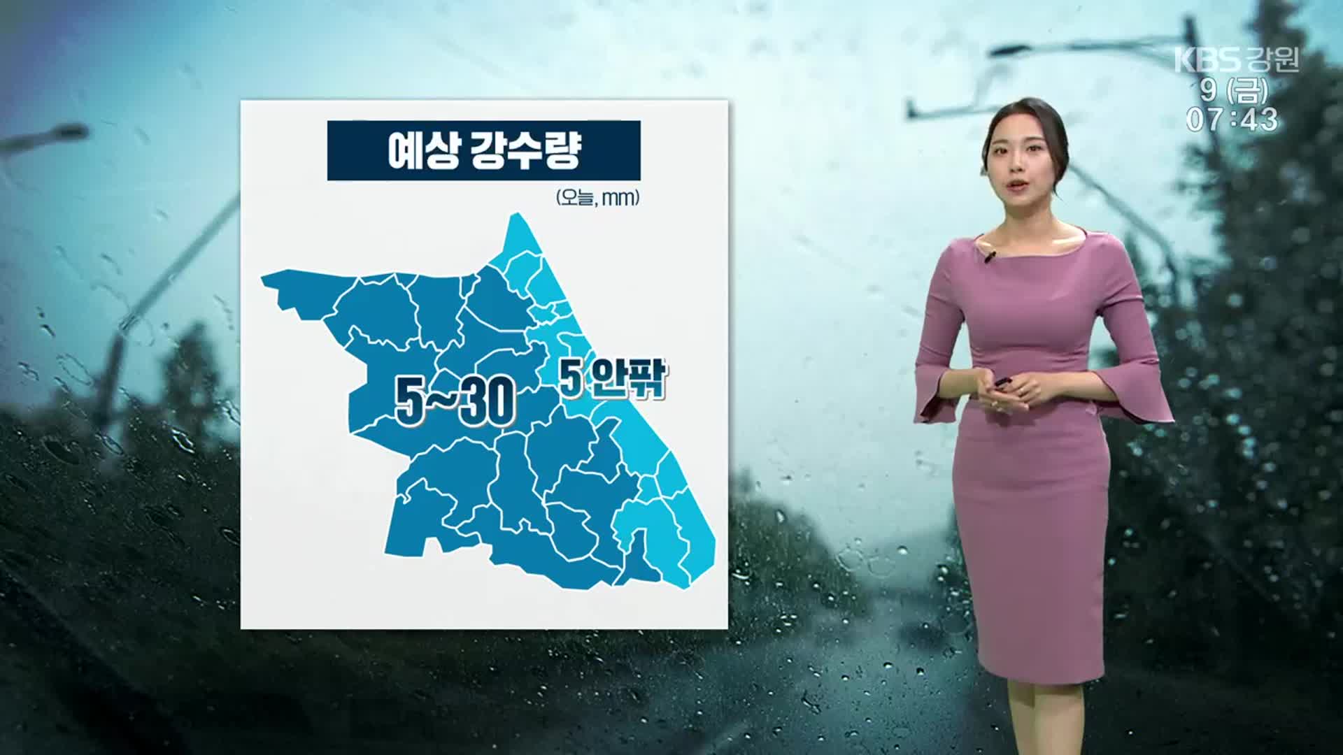 [날씨] 강원 전역 오늘도 비…출근길 안개 자욱
