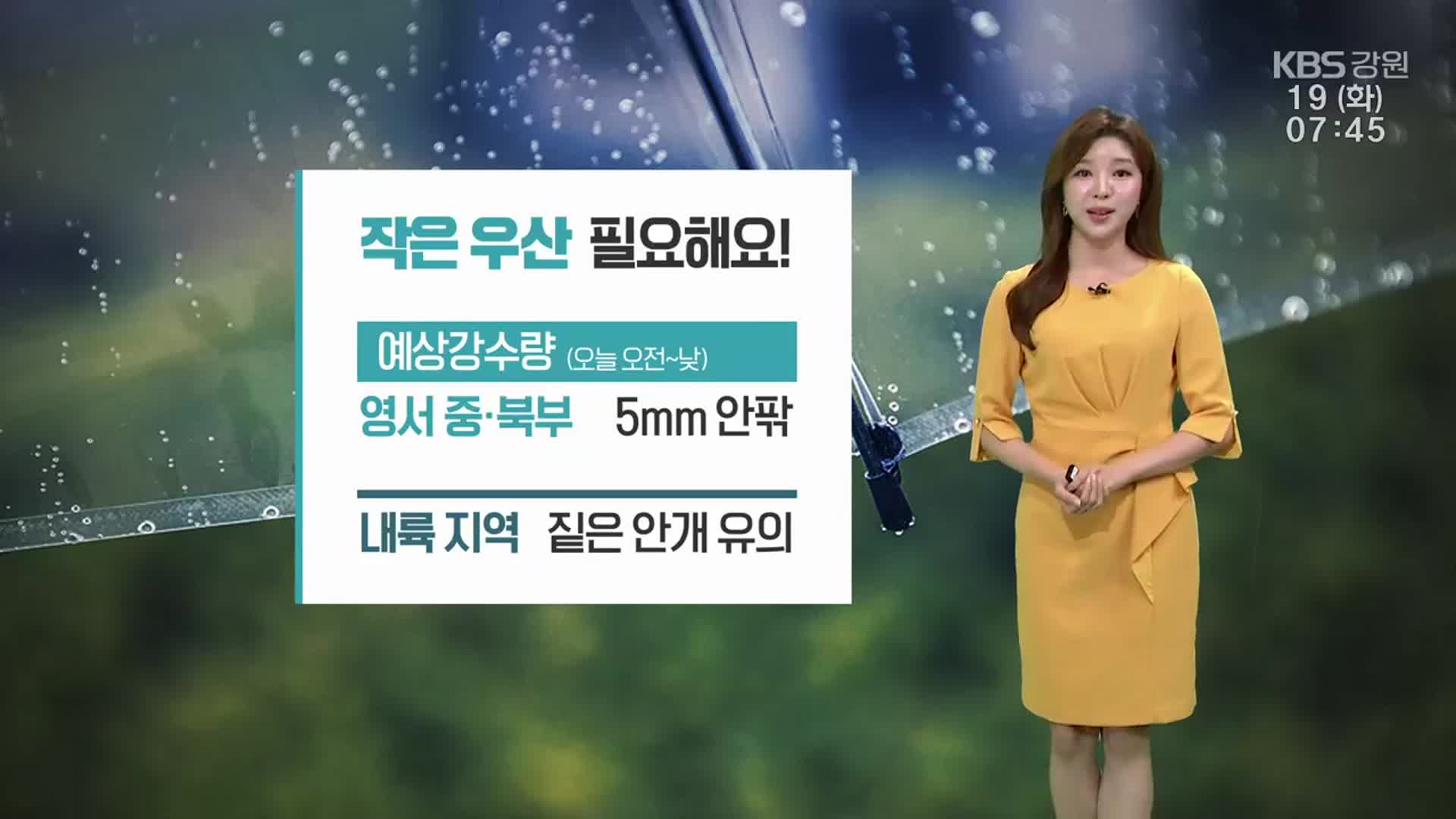[날씨] 강원 영서 중·북부 약한 비…내륙 지역 짙은 안개 유의
