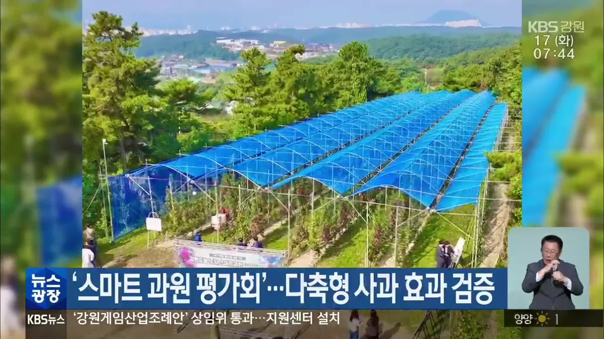 ‘스마트 과원 평가회’…다축형 사과 효과 검증