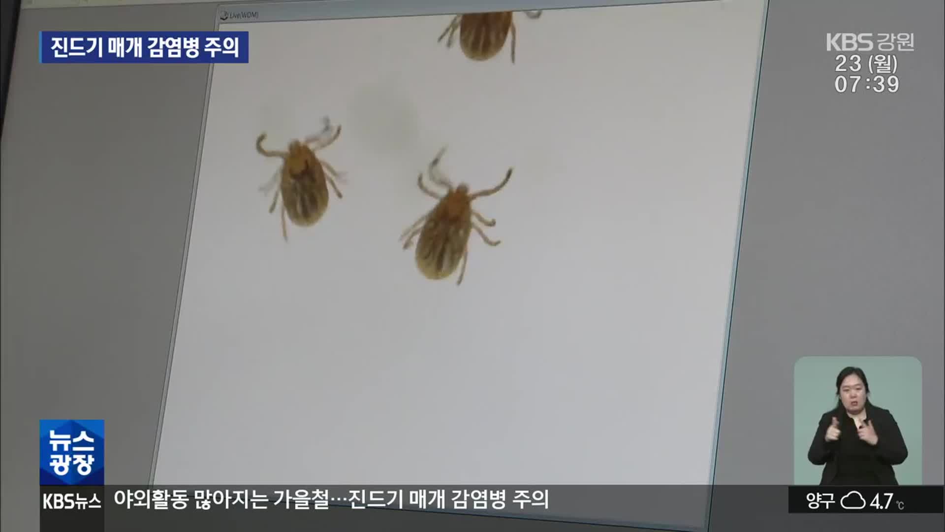 야외활동 많아지는 가을철…진드기 매개 감염병 주의