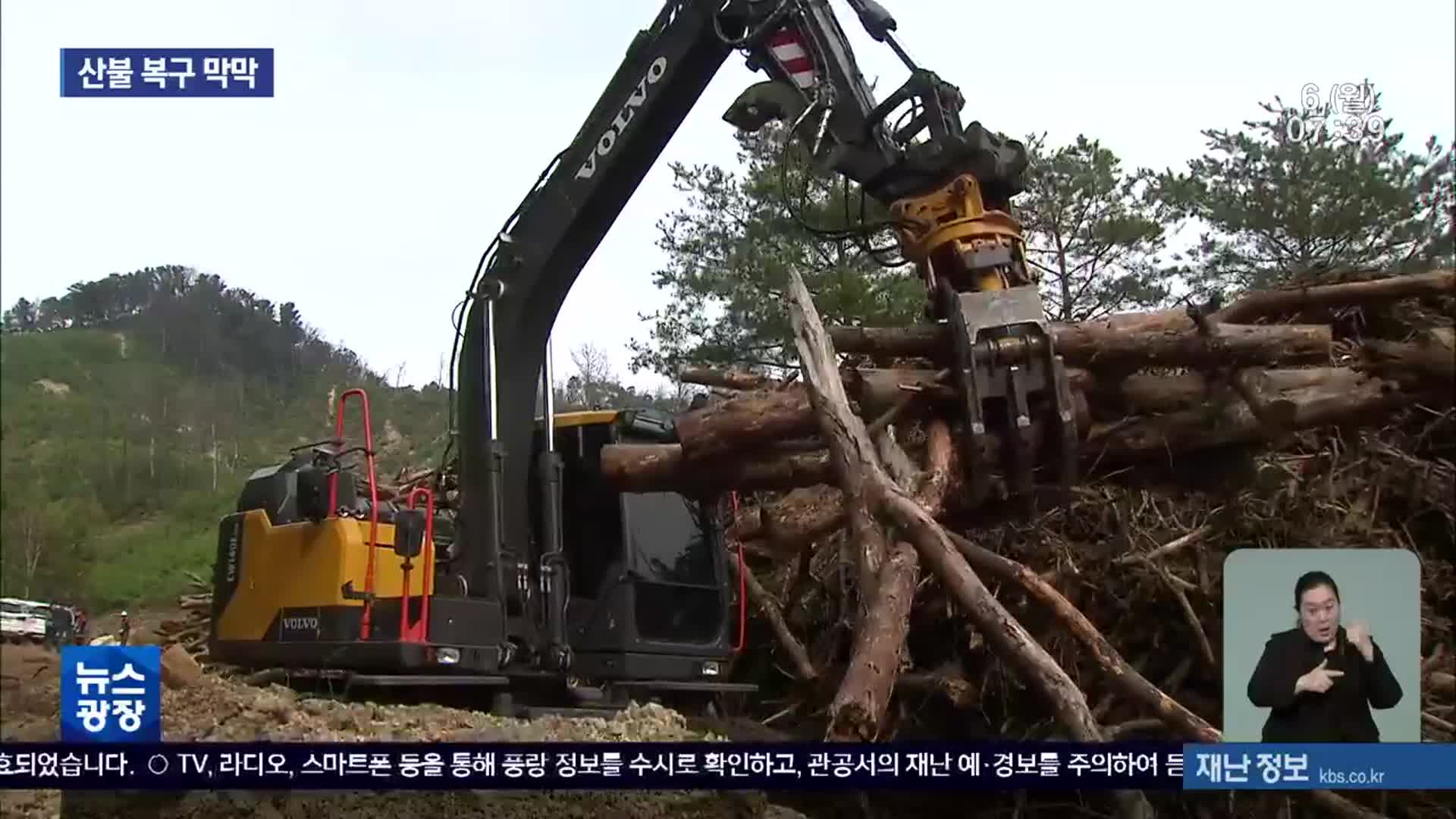 양구 산불 1년 6개월…더딘 복구 ‘산 넘어 산’