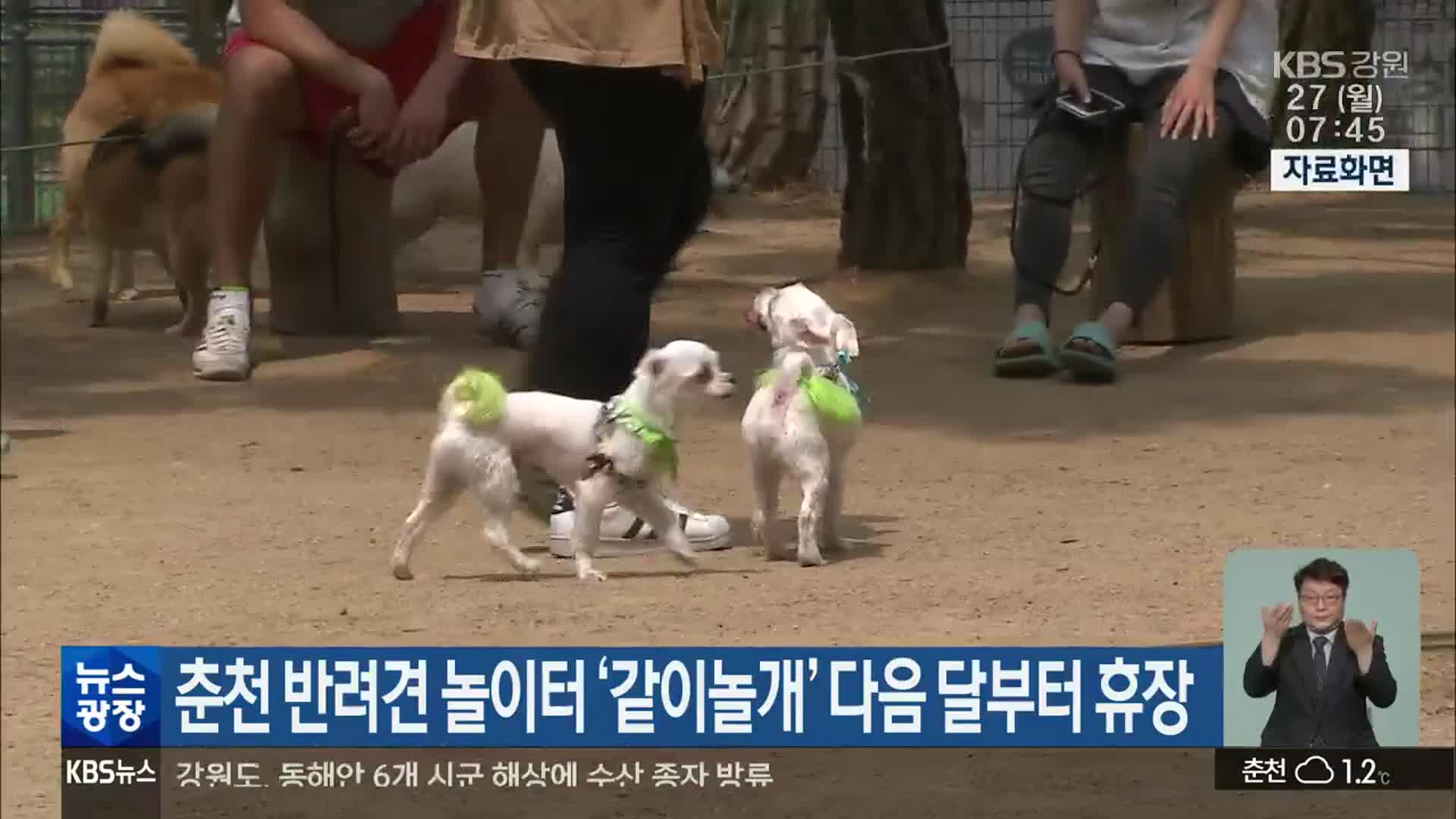 춘천 반려견 놀이터 ‘같이놀개’ 다음 달부터 휴장