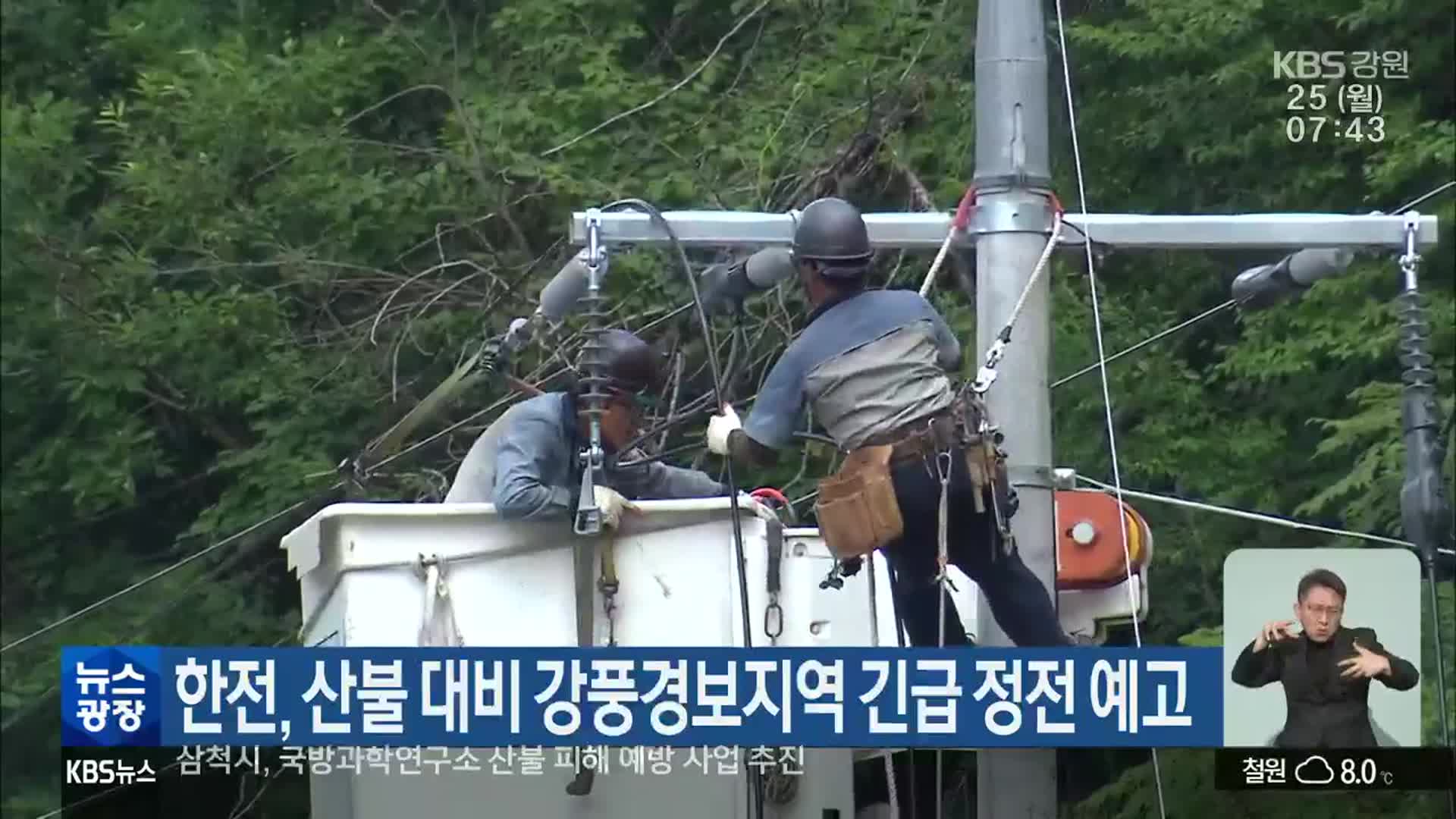 한전, 산불 대비 강풍경보지역 긴급 정전 예고