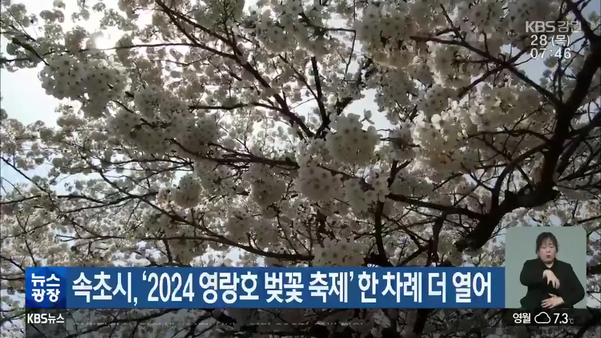 속초시, ‘2024 영랑호 벚꽃 축제’ 한 차례 더 열어