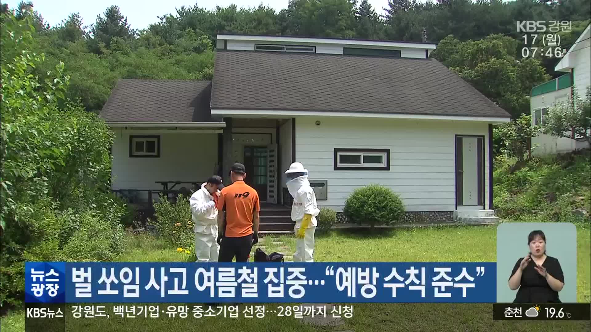 벌 쏘임 사고 여름철 집중…“예방 수칙 준수”