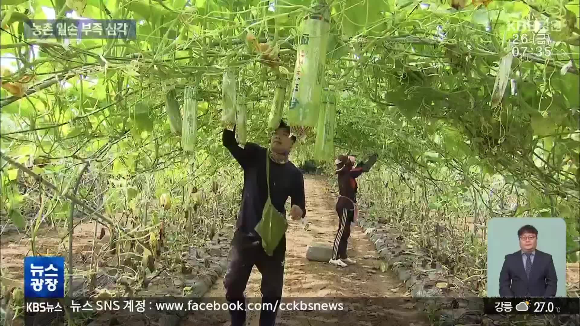 농촌 일손 부족, “10년에 12배 악화…대책 서둘러야”