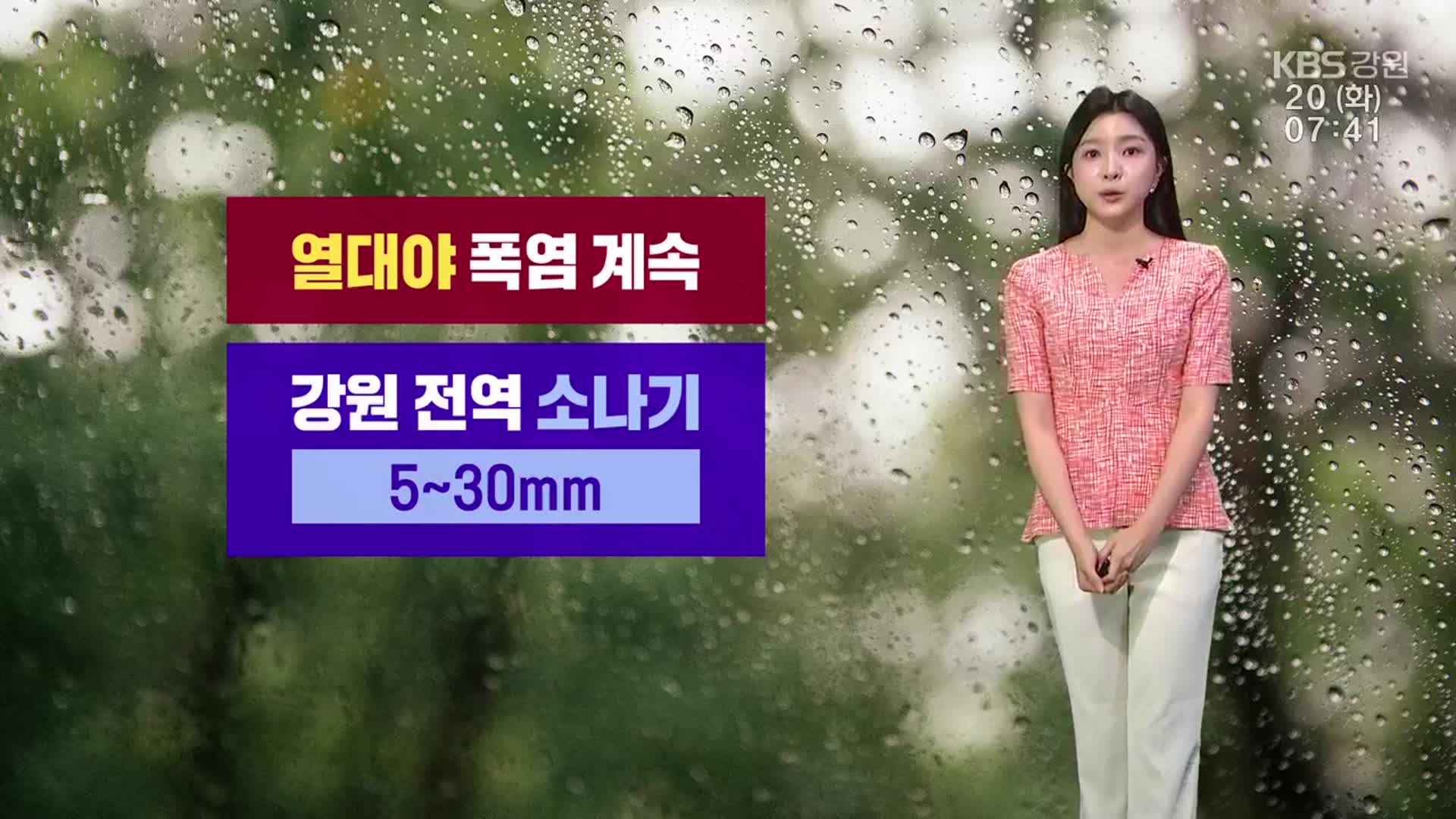 [날씨] 강원 전역 소나기…태풍 영향 내일부터 비